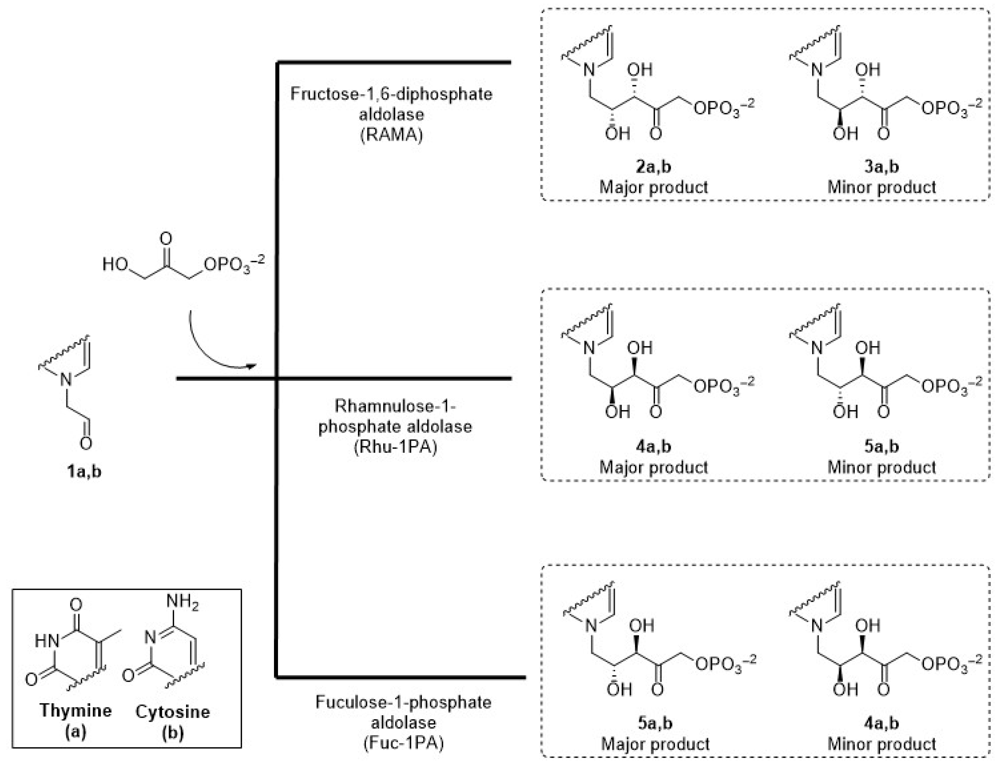Biomolecules 14 00750 g003