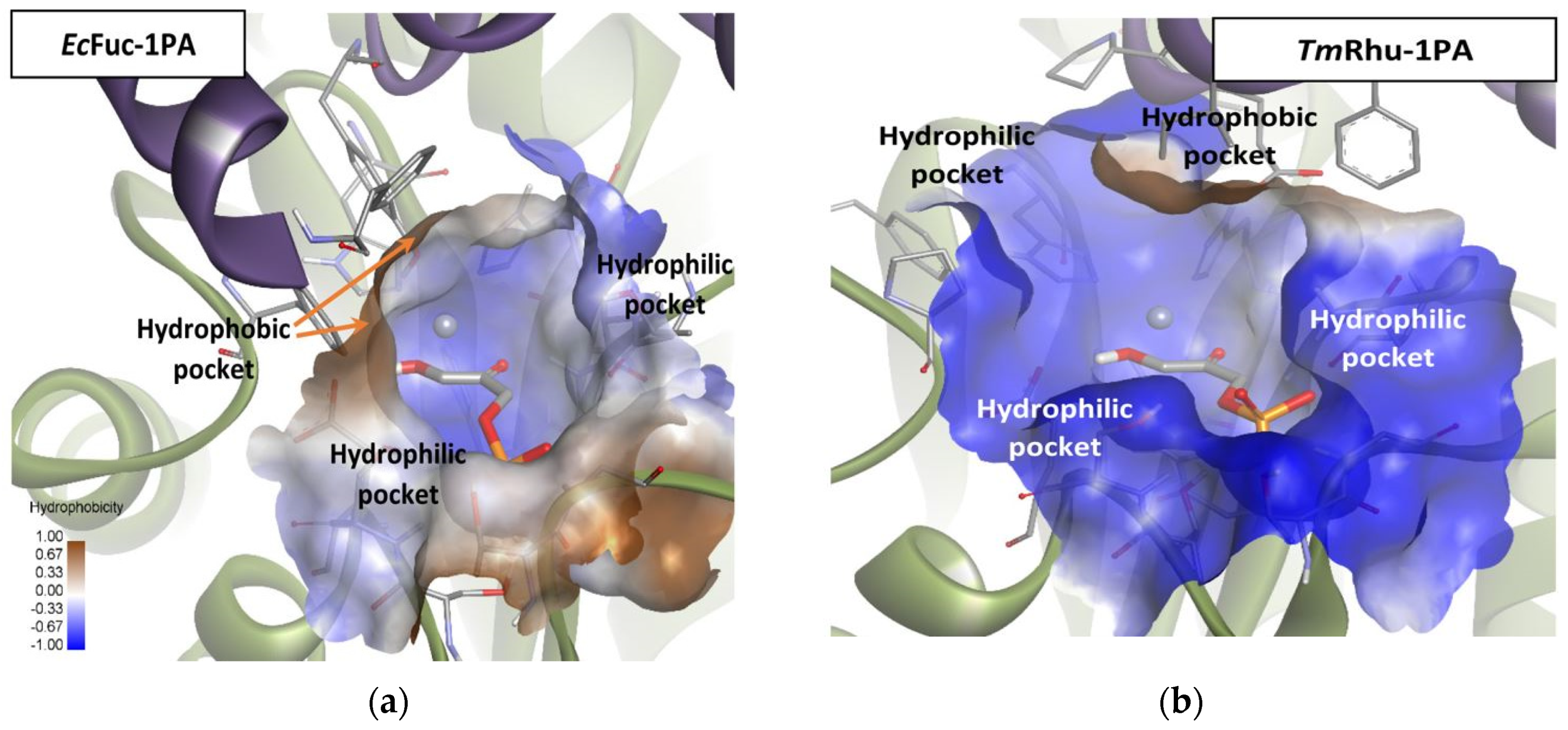 Biomolecules 14 00750 g009