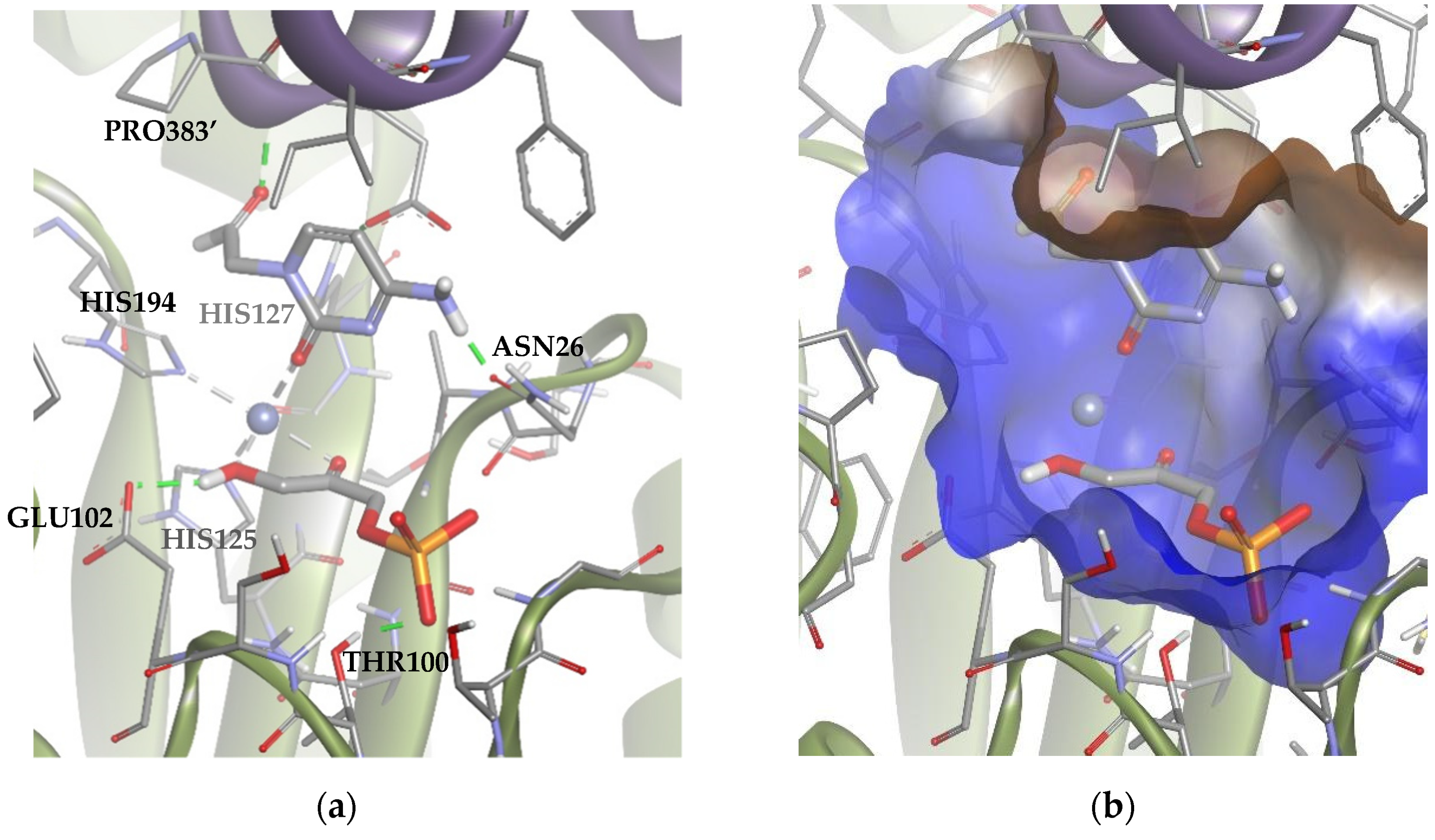 Biomolecules 14 00750 g010