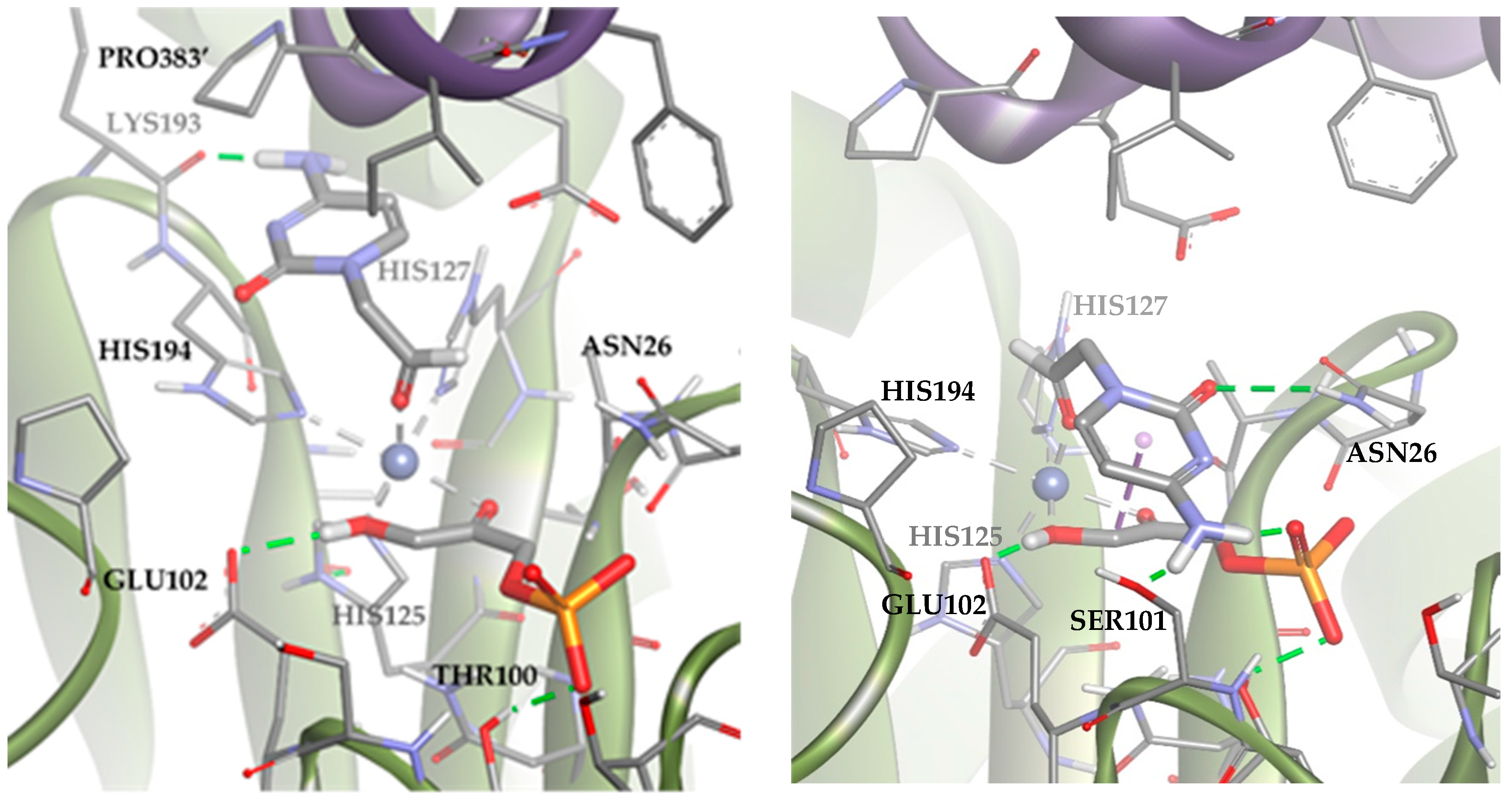 Biomolecules 14 00750 g011a