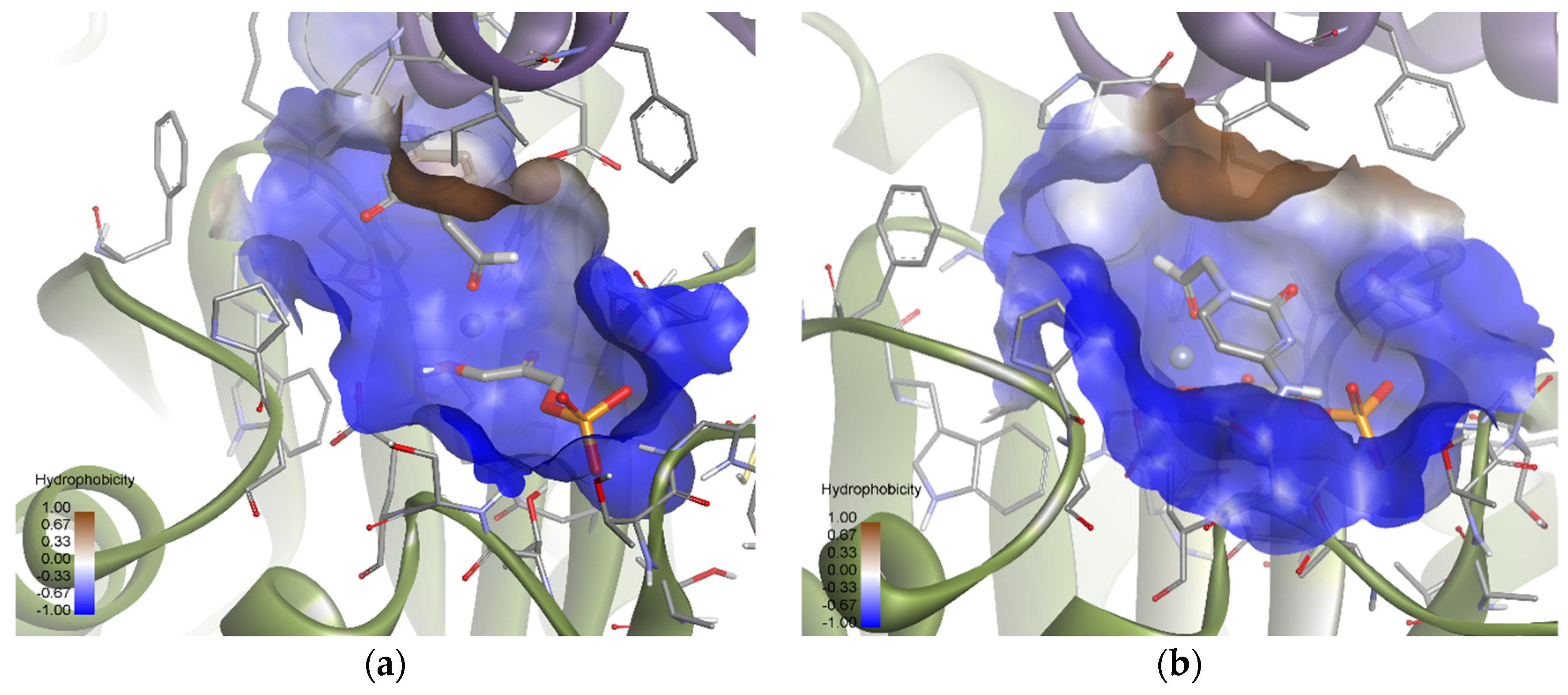 Biomolecules 14 00750 g011b