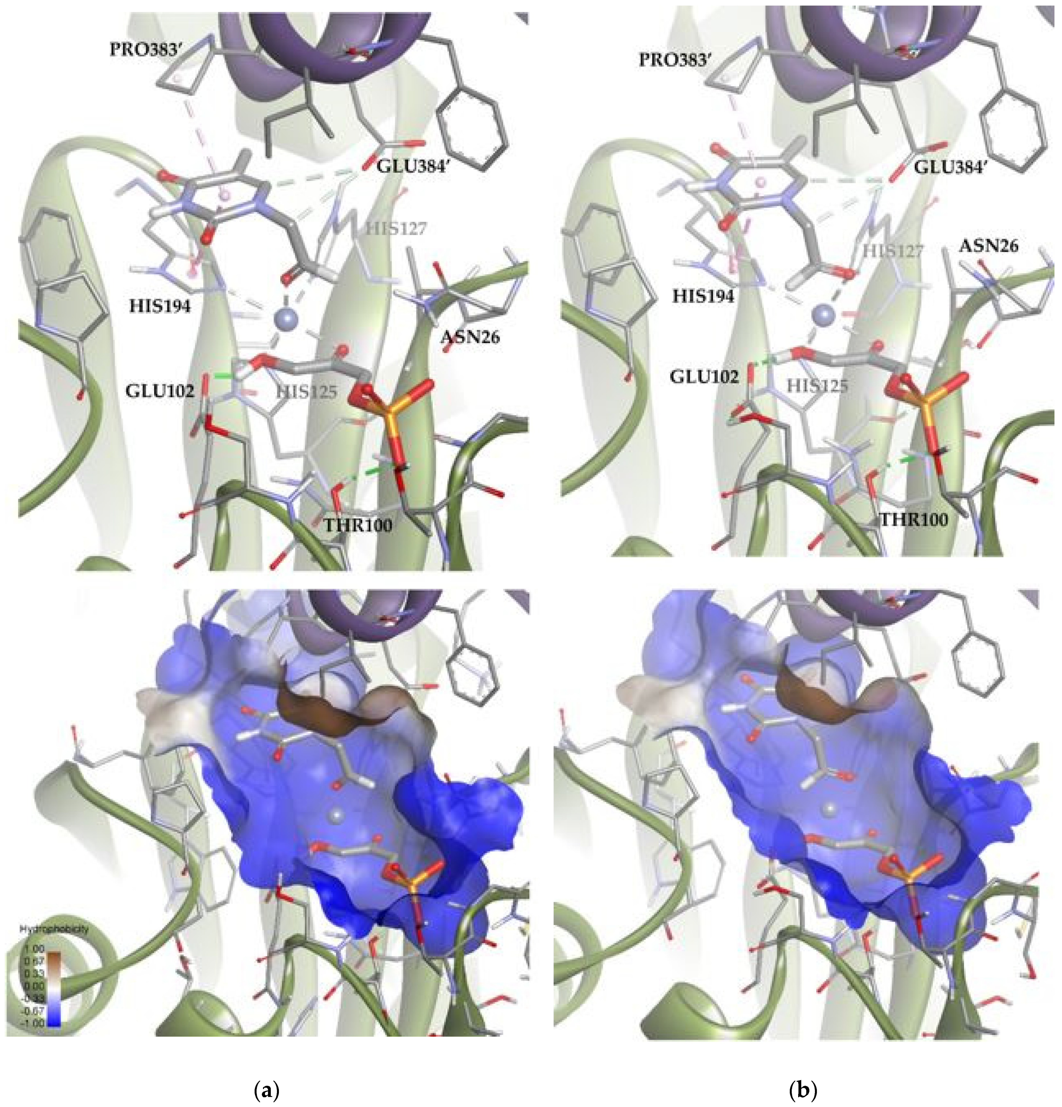 Biomolecules 14 00750 g012