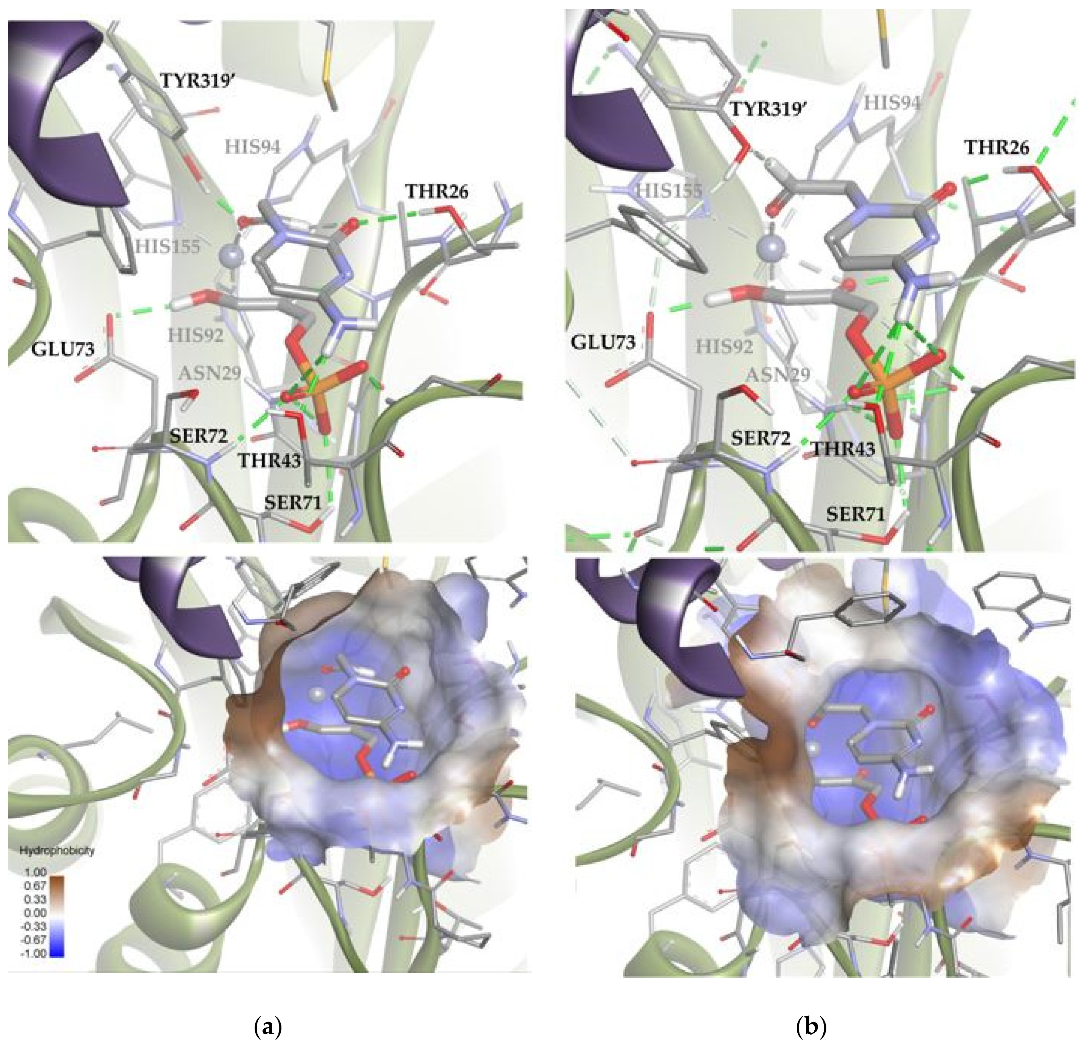Biomolecules 14 00750 g013