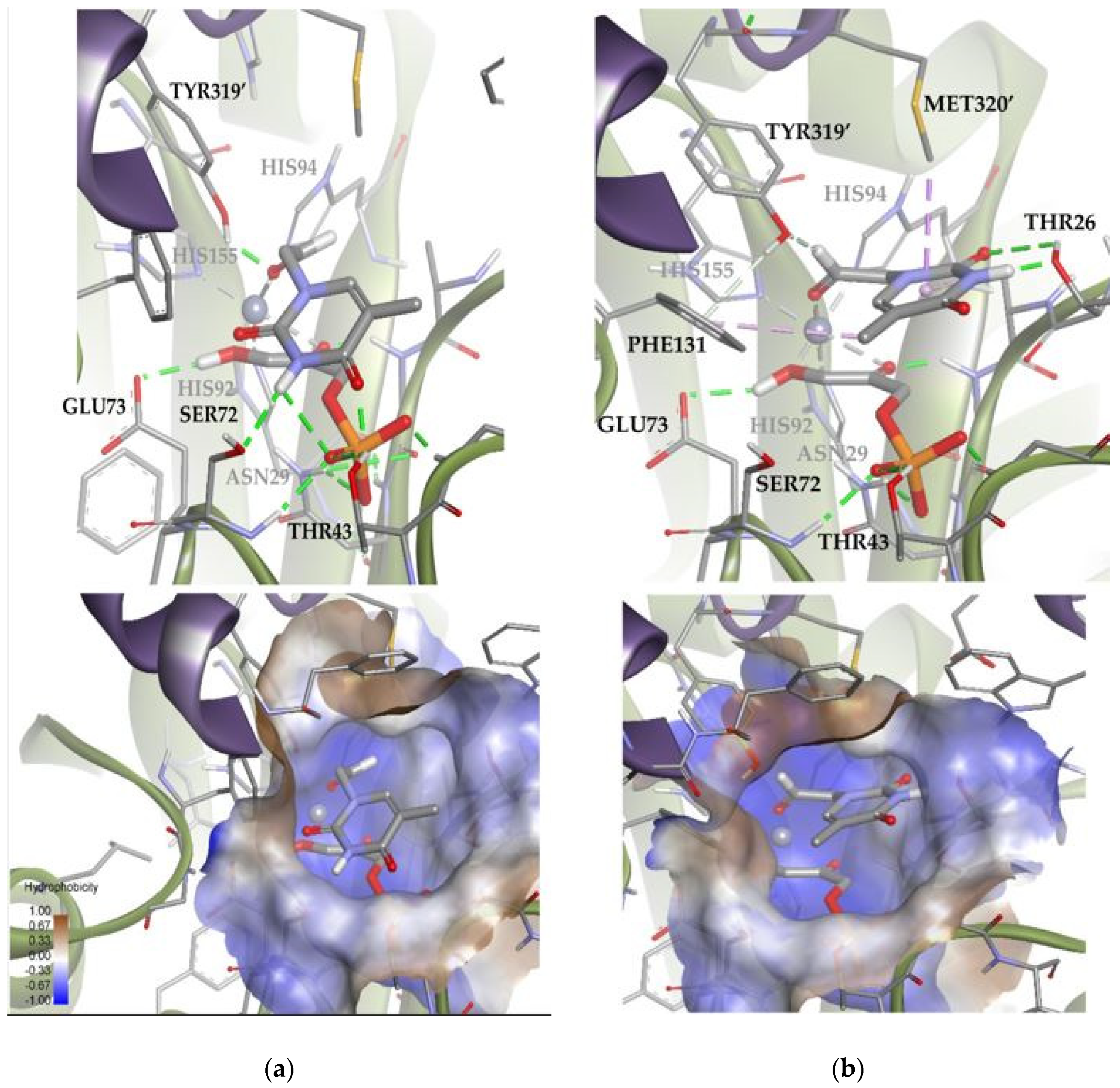 Biomolecules 14 00750 g014