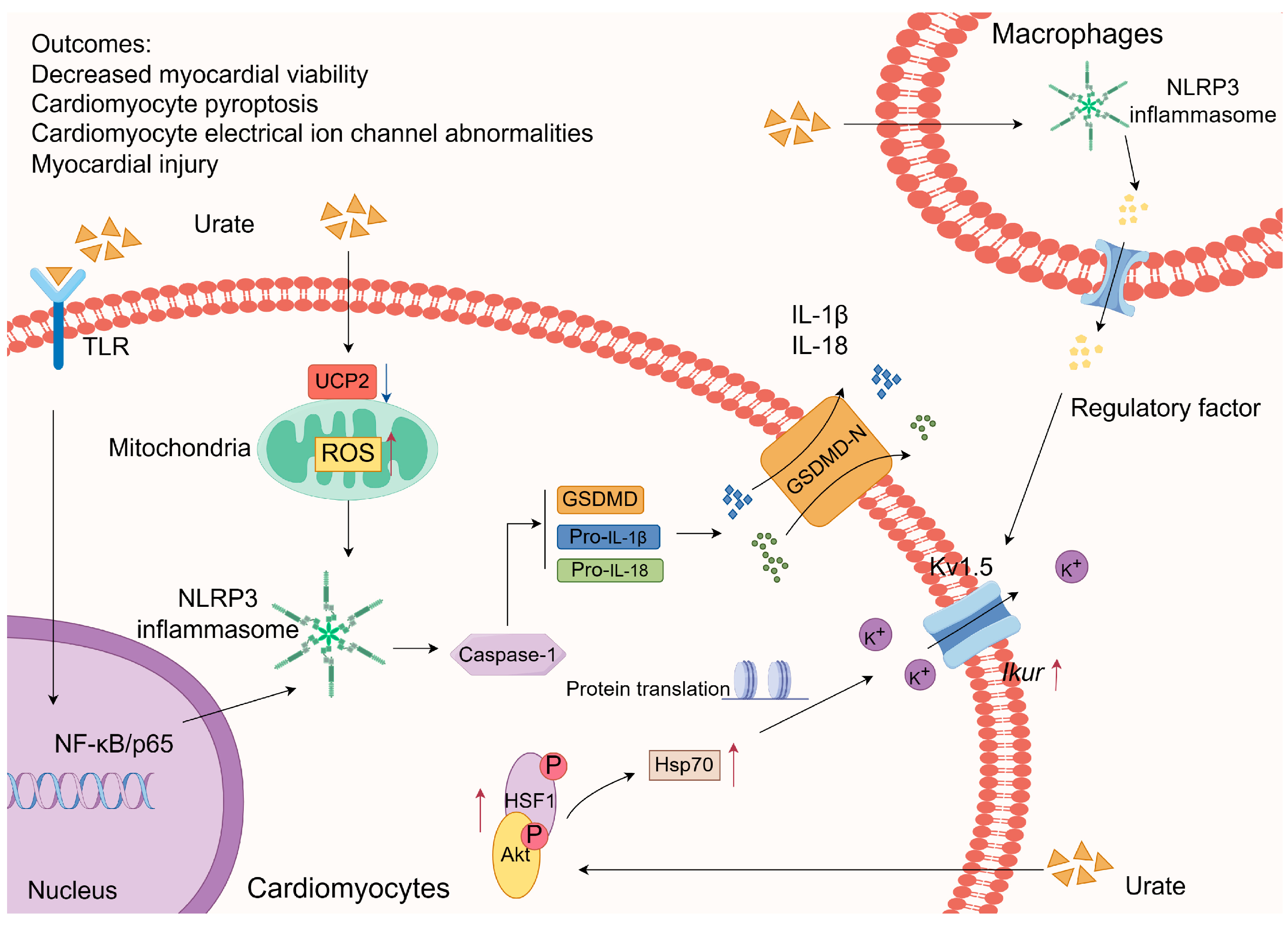Biomolecules 14 00753 g002