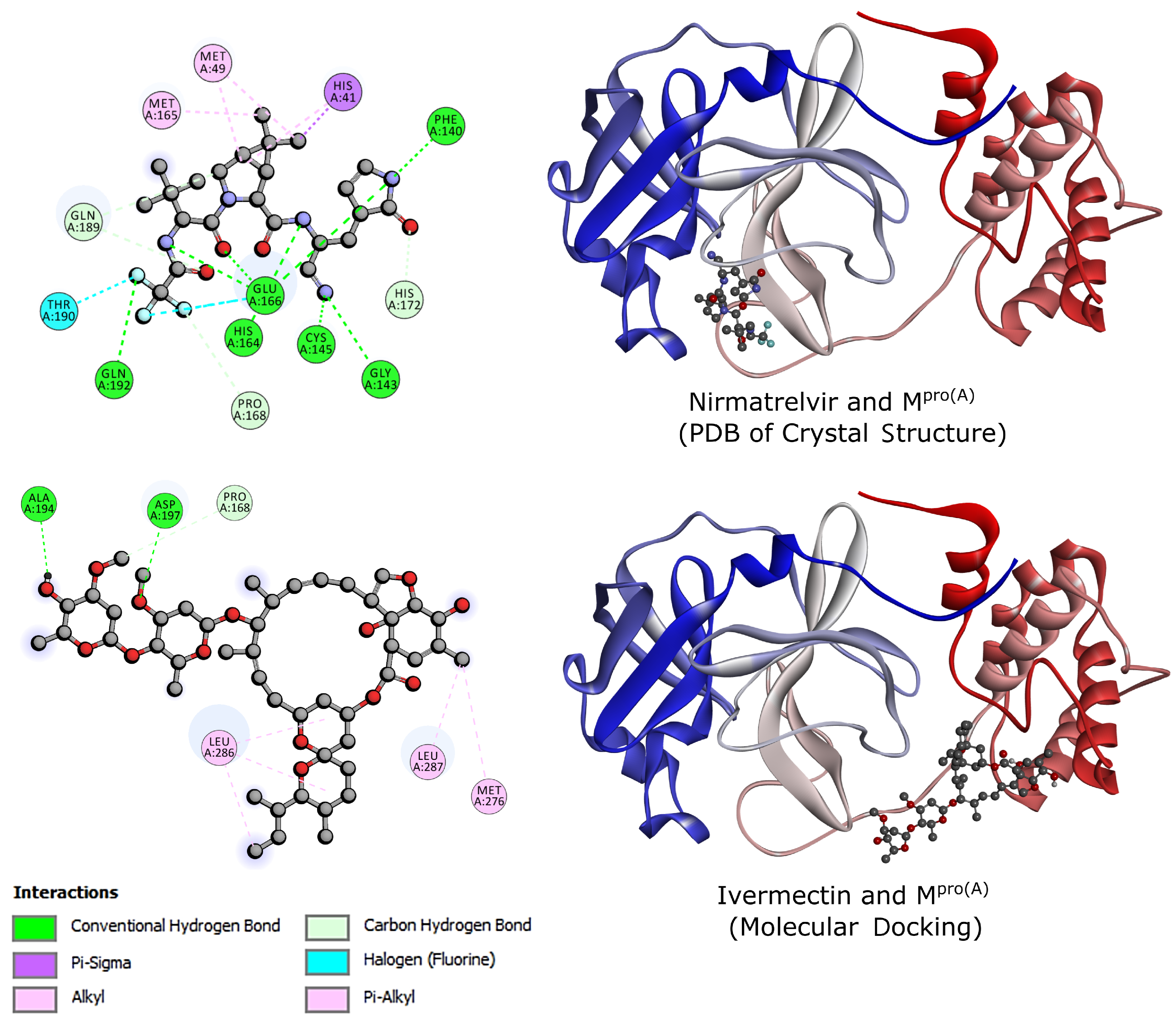 Biomolecules 14 00755 g002