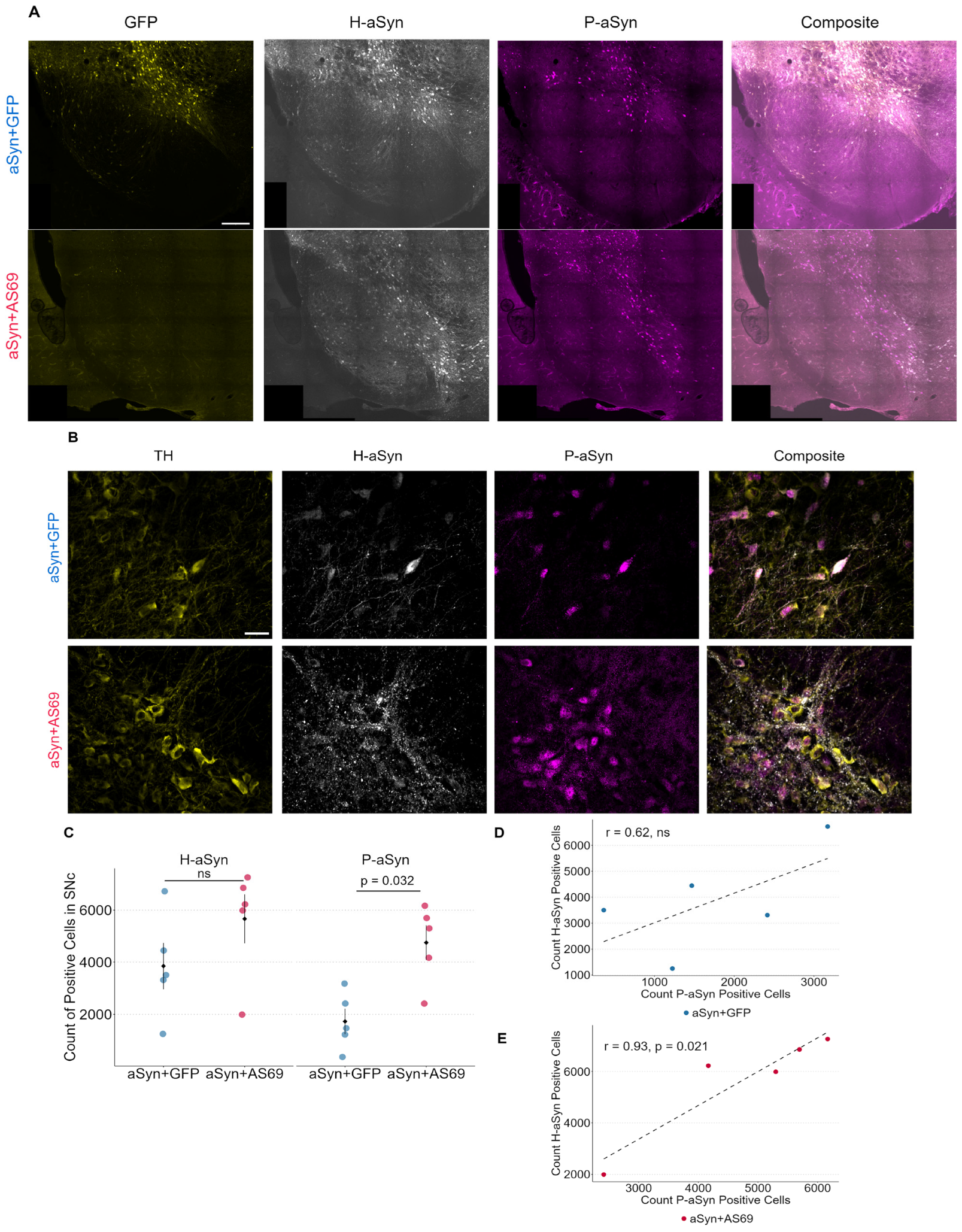 Biomolecules 14 00756 g003