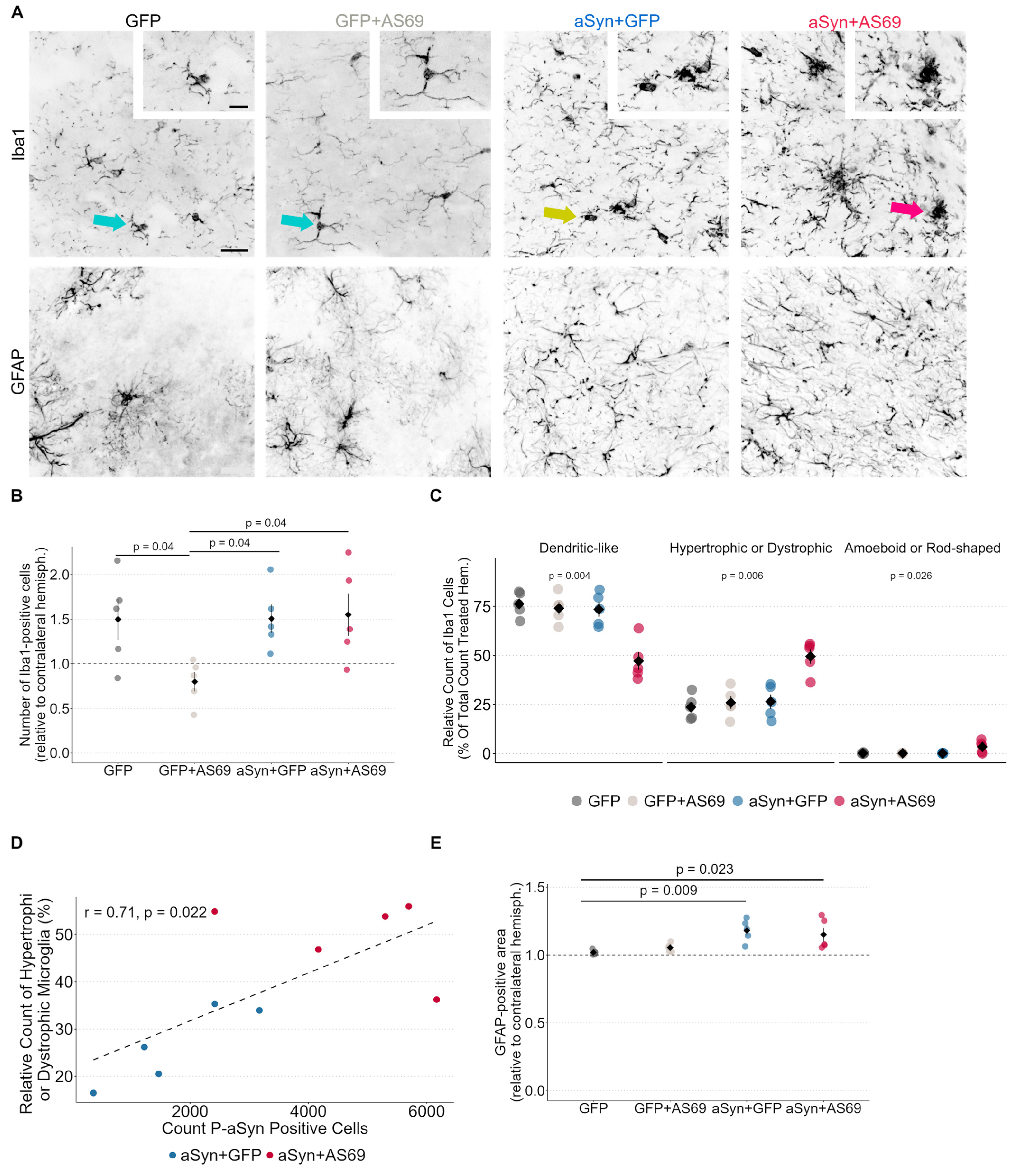Biomolecules 14 00756 g004