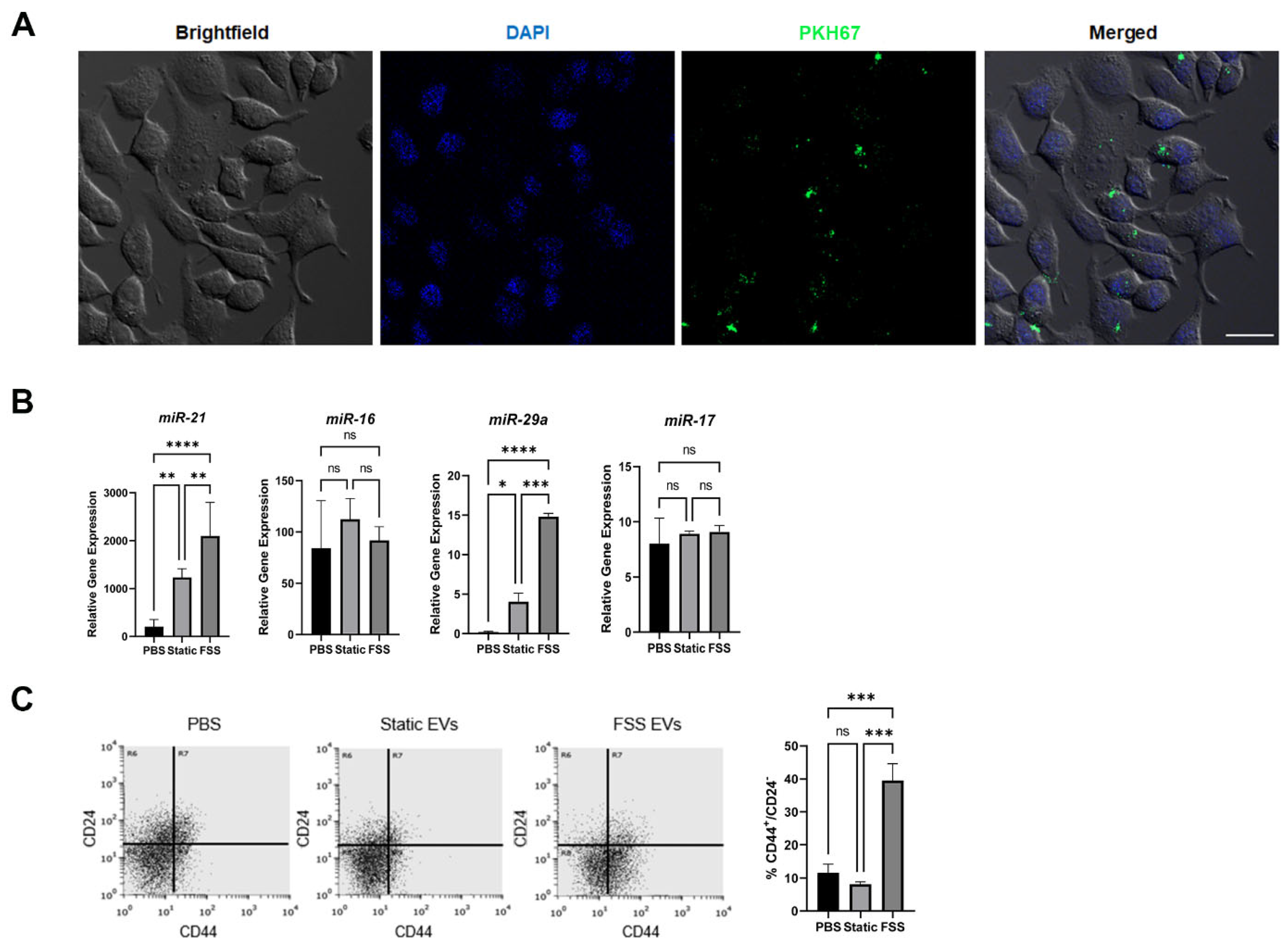 Biomolecules 14 00757 g004