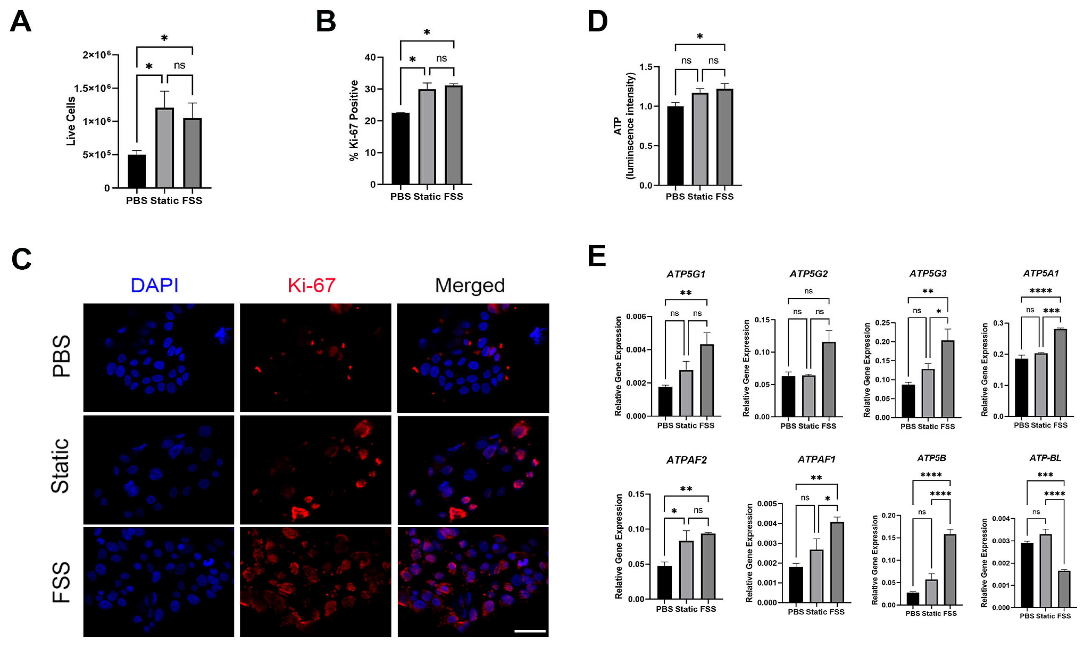 Biomolecules 14 00757 g005