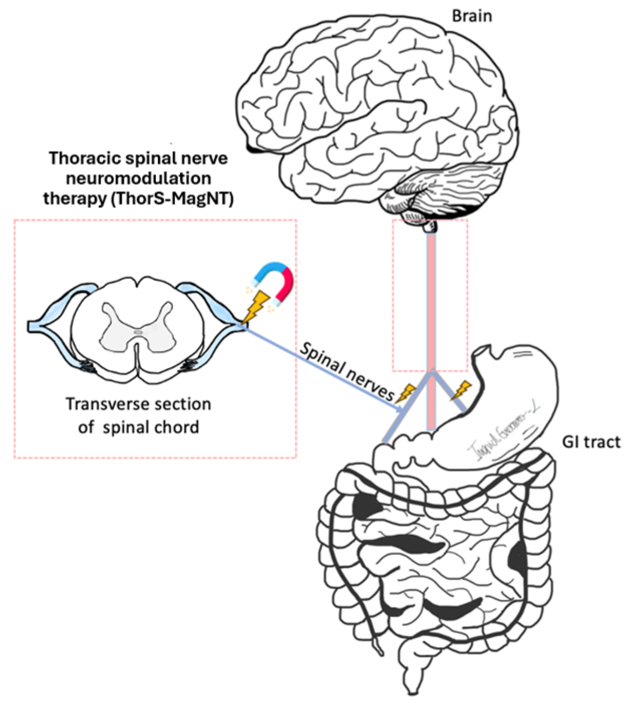 Biomolecules 14 00760 g002