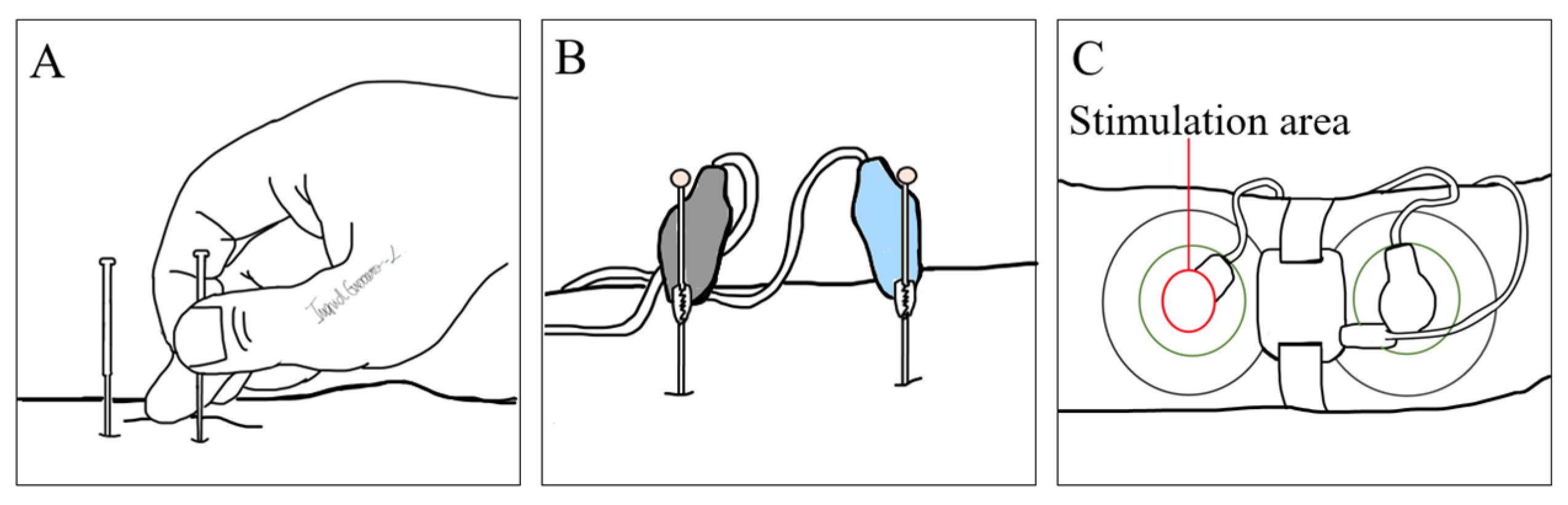 Biomolecules 14 00760 g003