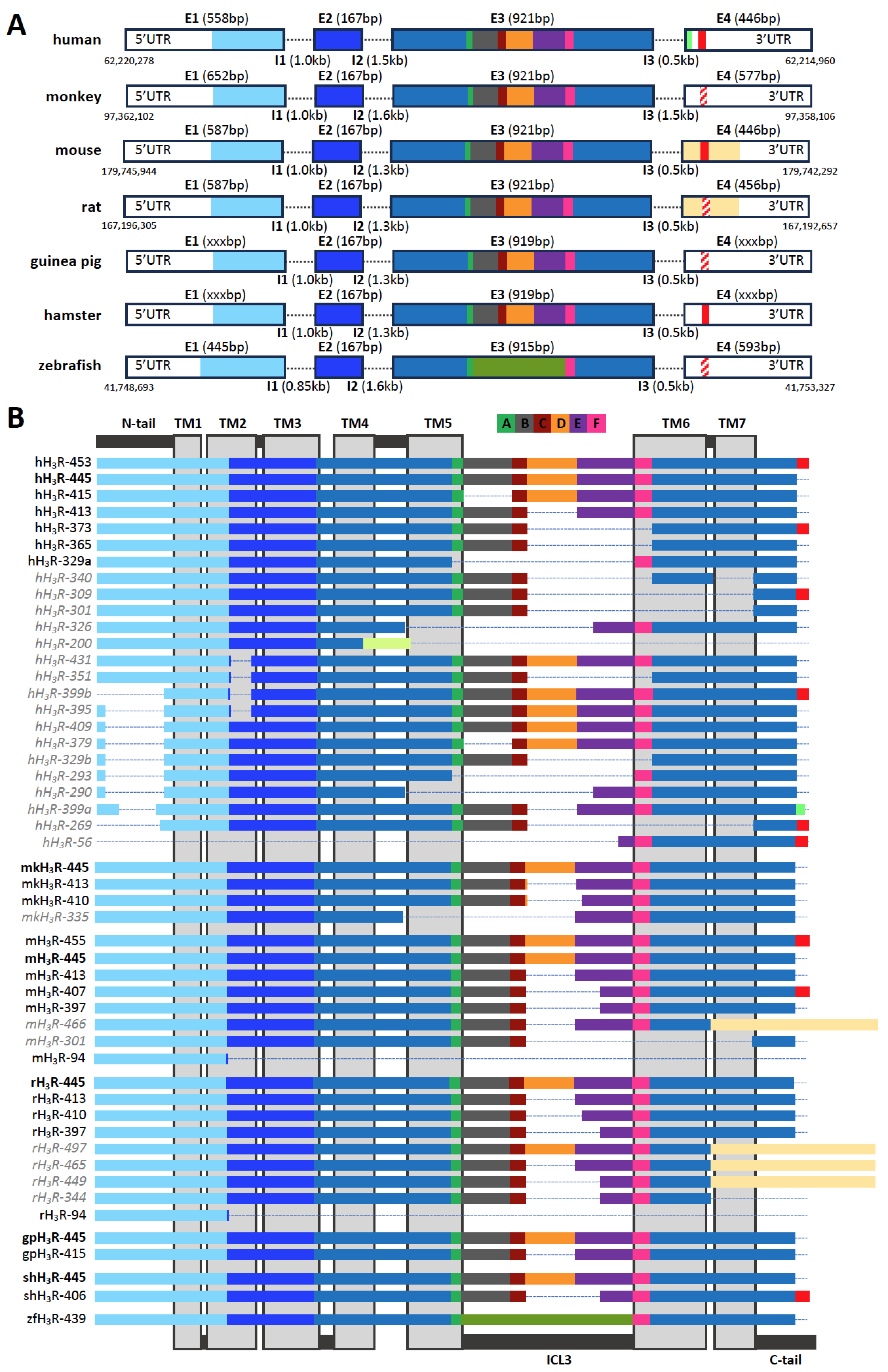 Biomolecules 14 00761 g001