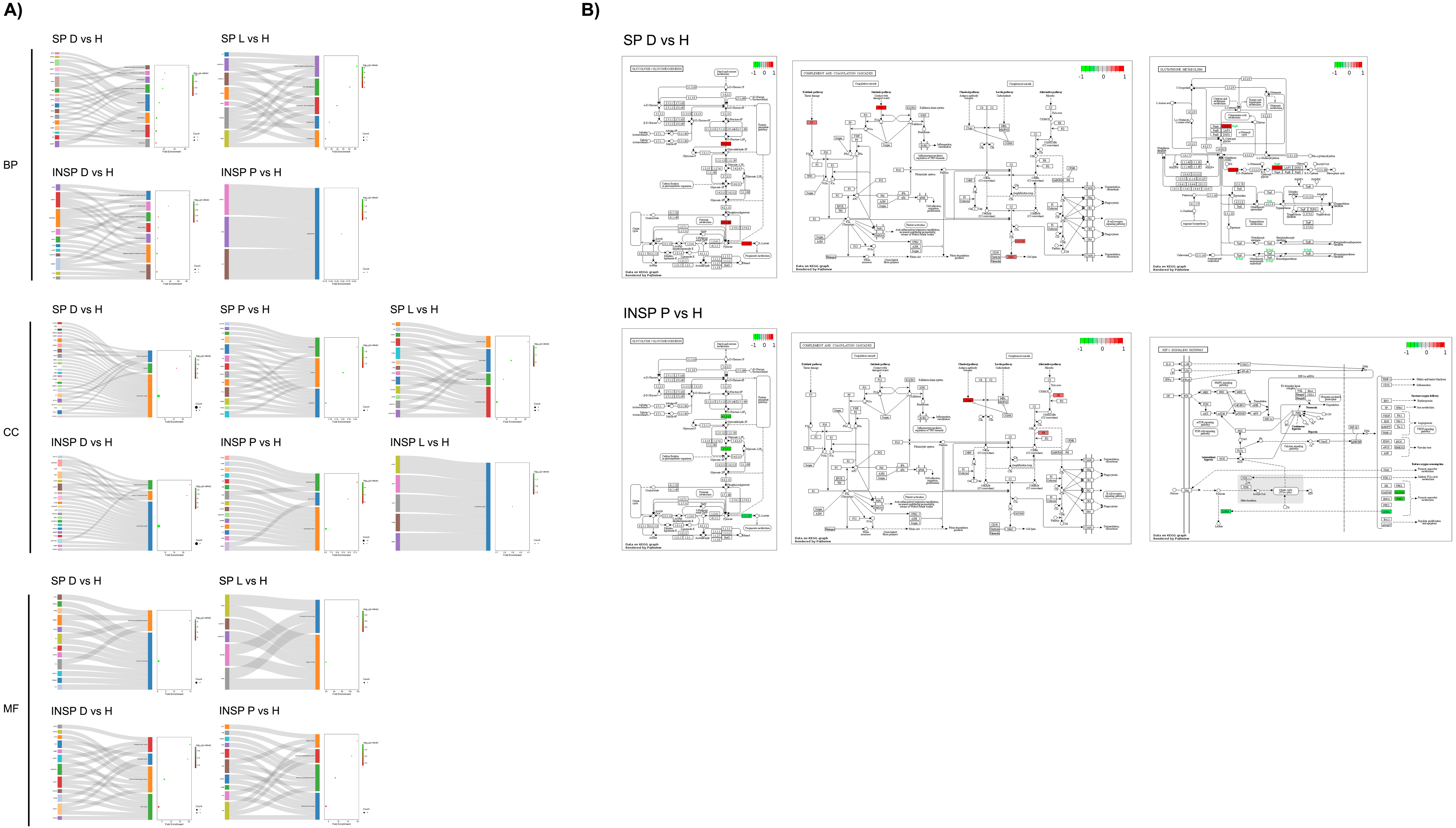 Biomolecules 14 00763 g005