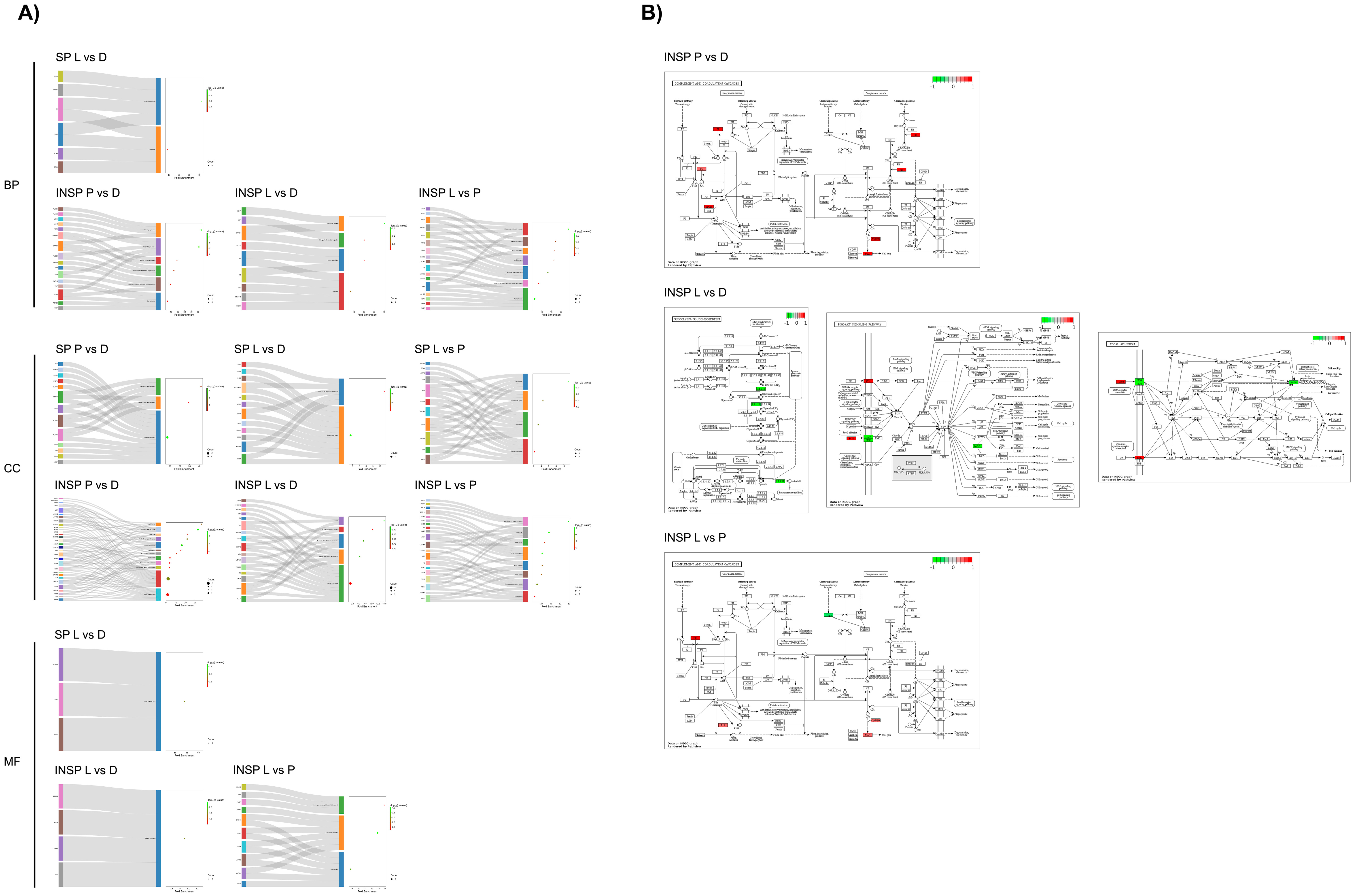Biomolecules 14 00763 g006