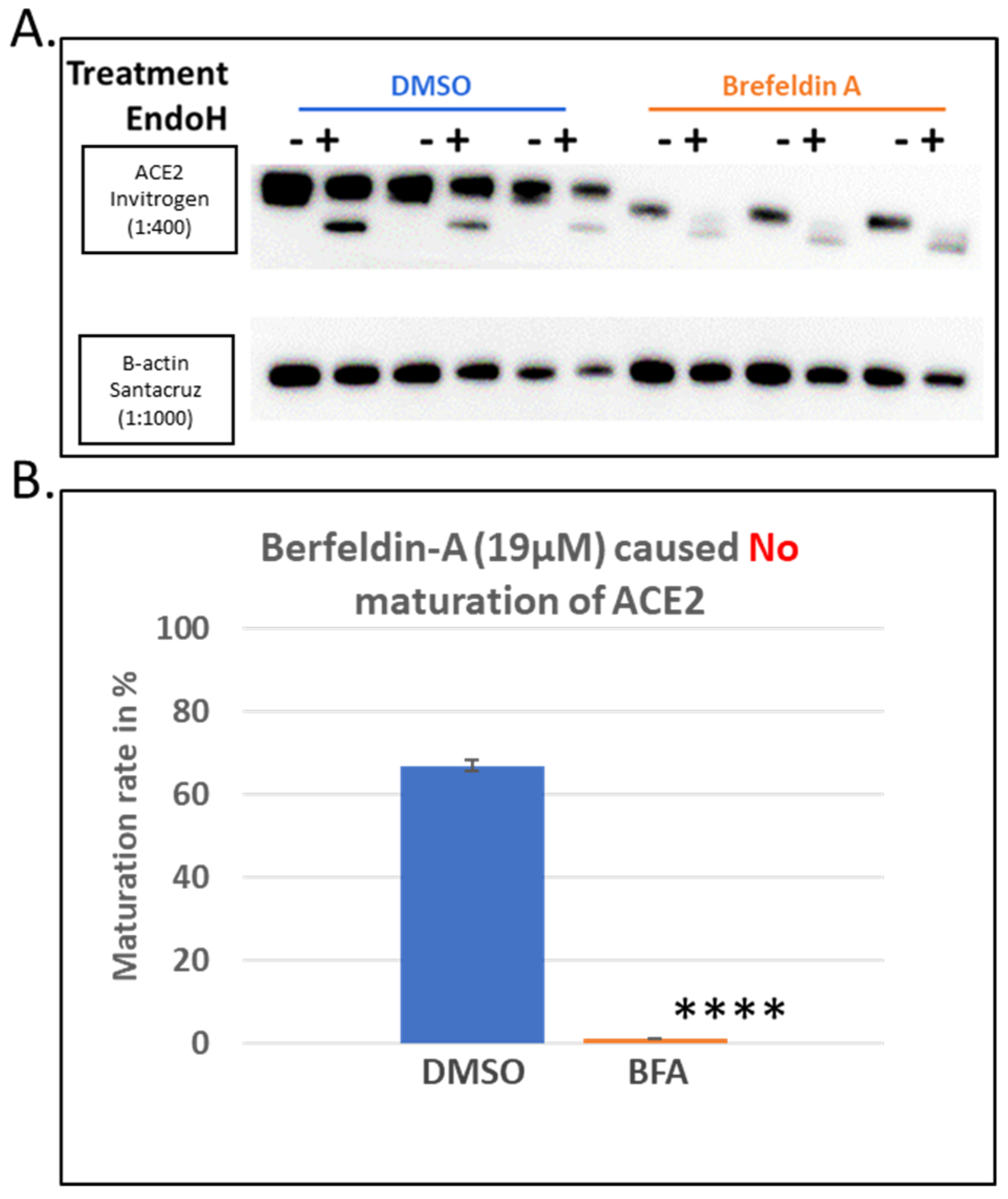 Biomolecules 14 00764 g003