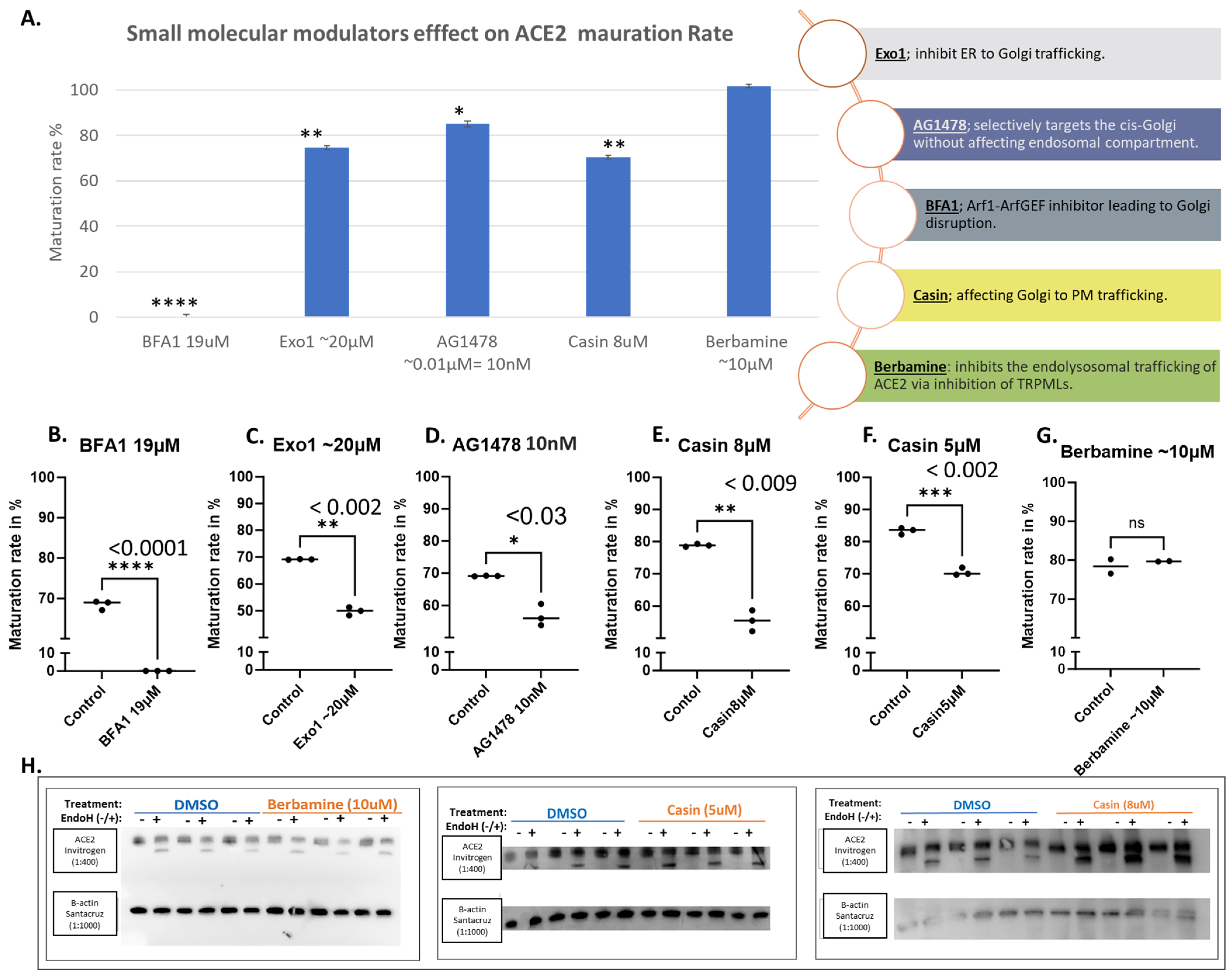 Biomolecules 14 00764 g004