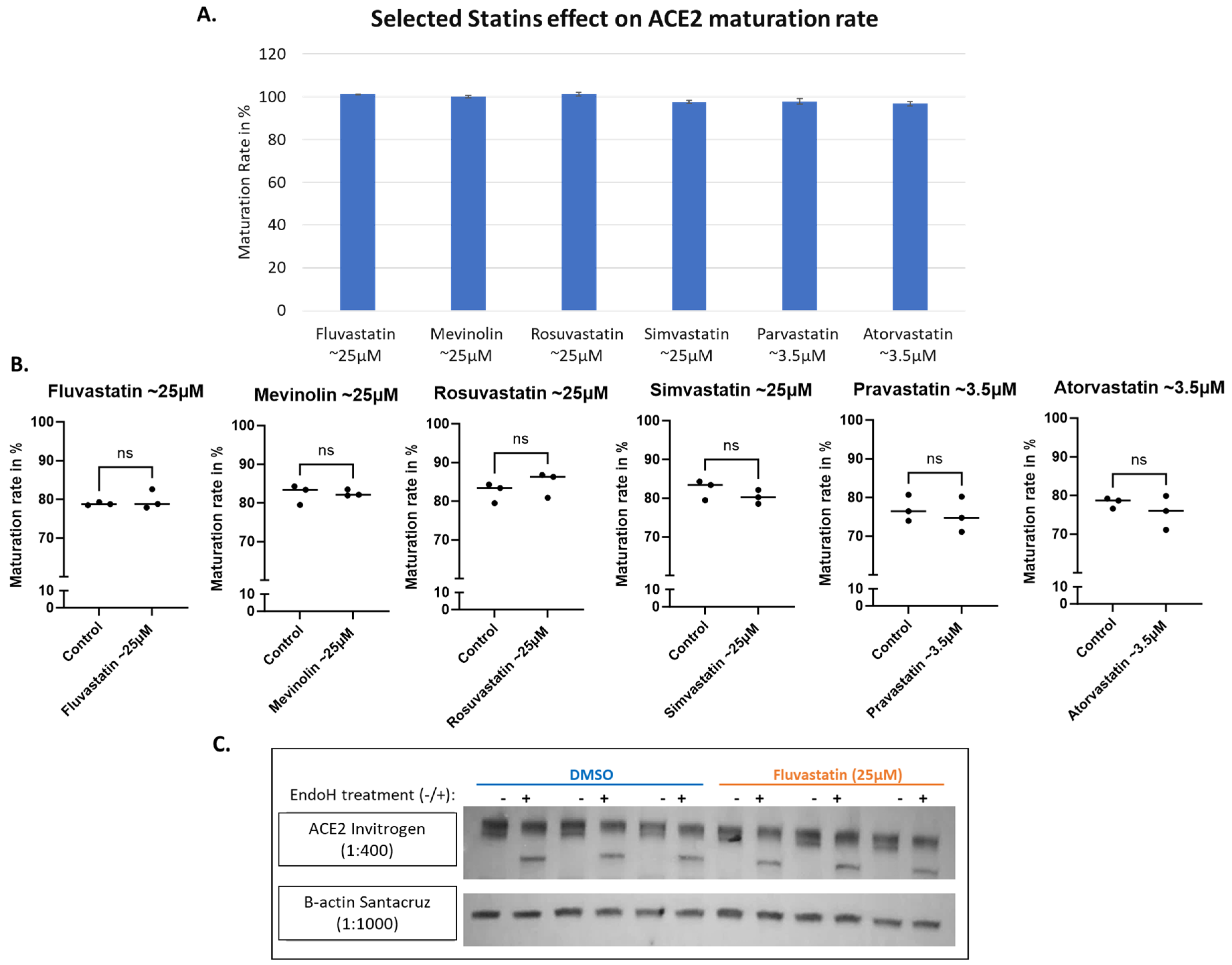 Biomolecules 14 00764 g006