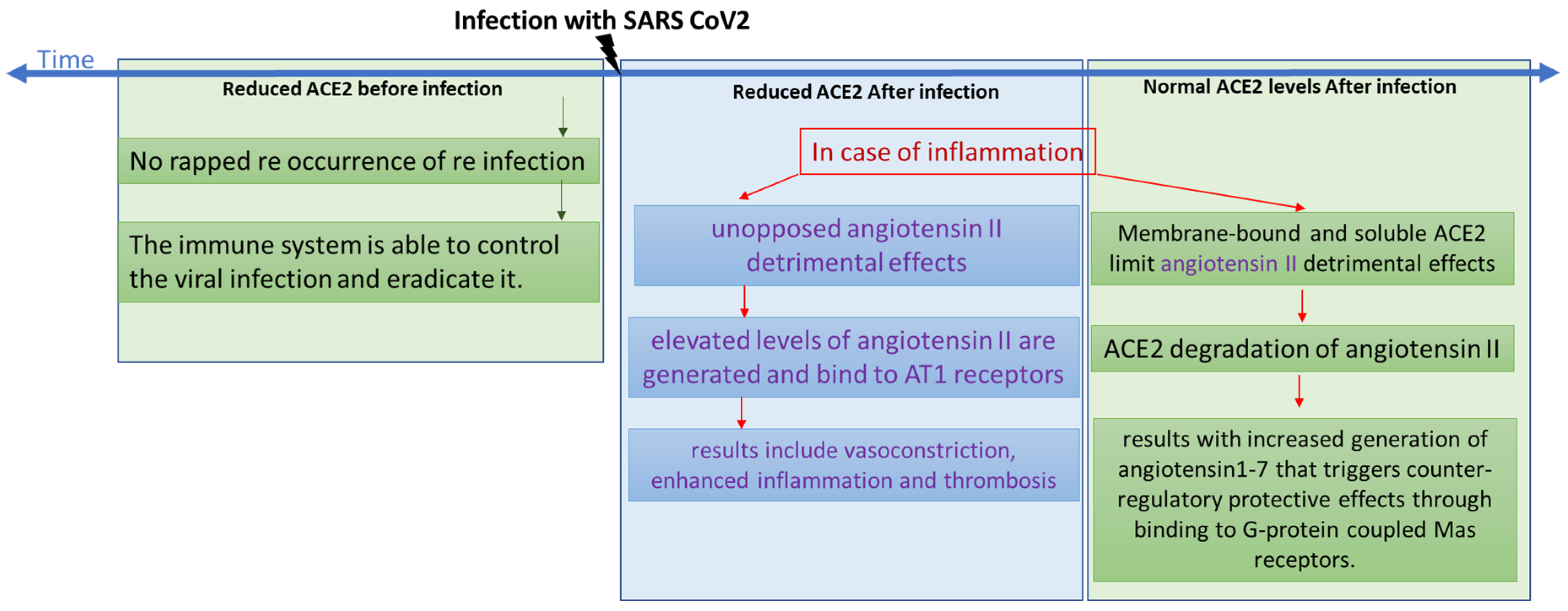 Biomolecules 14 00764 g008