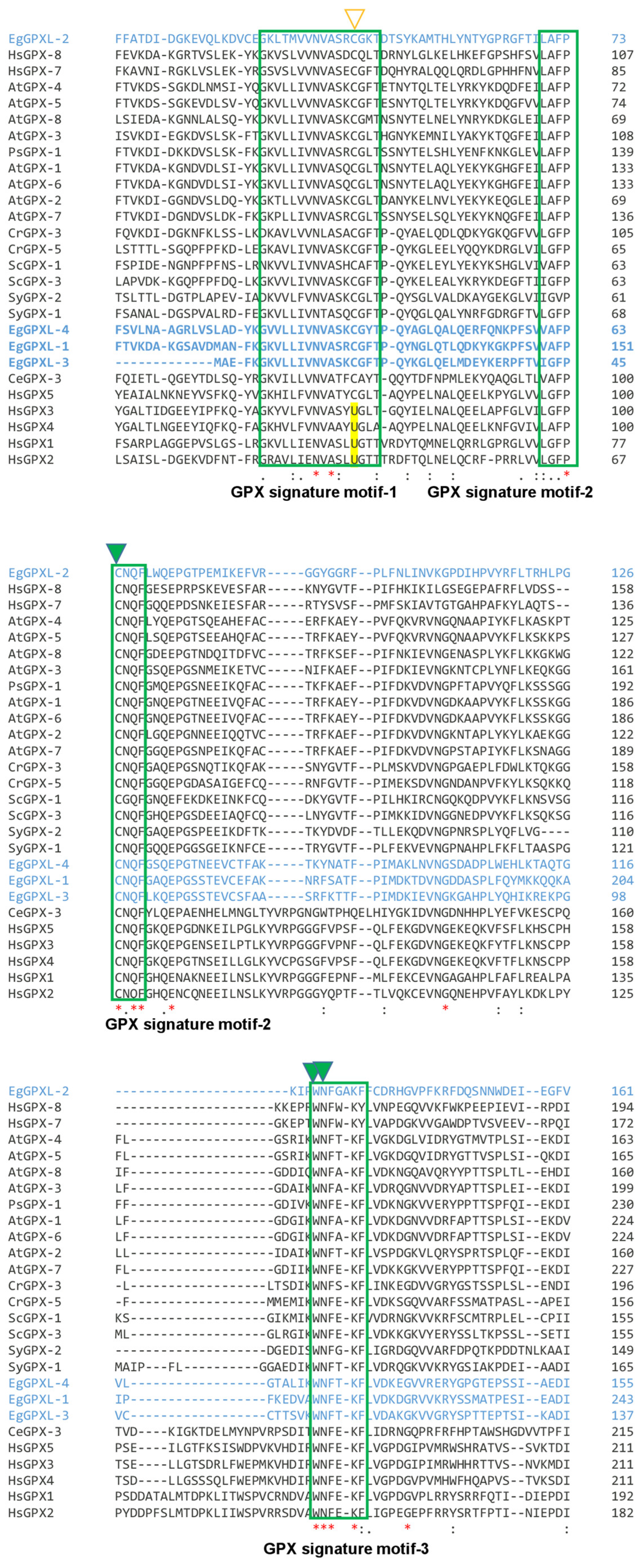 Biomolecules 14 00765 g001