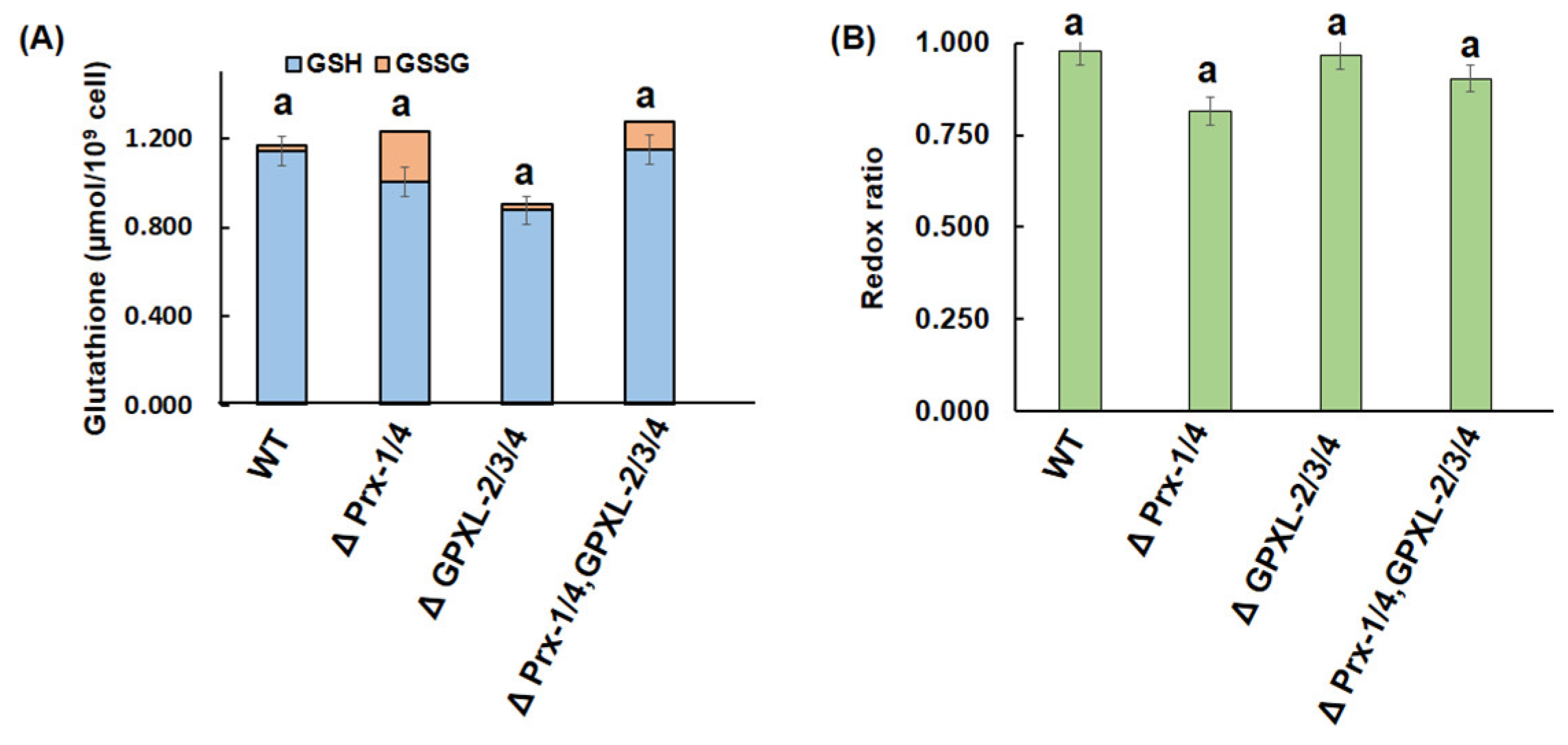 Biomolecules 14 00765 g011