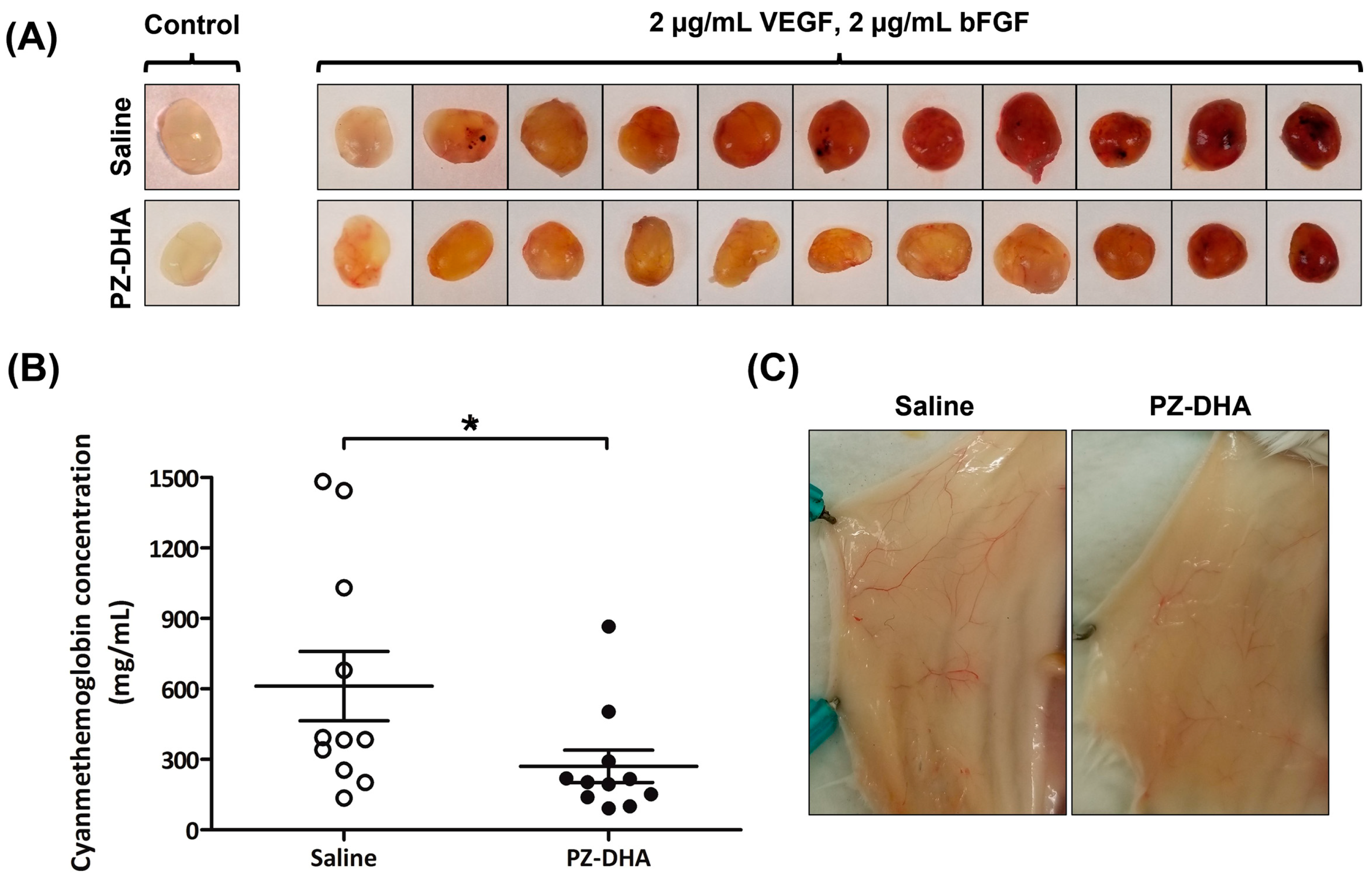 Biomolecules 14 00769 g002