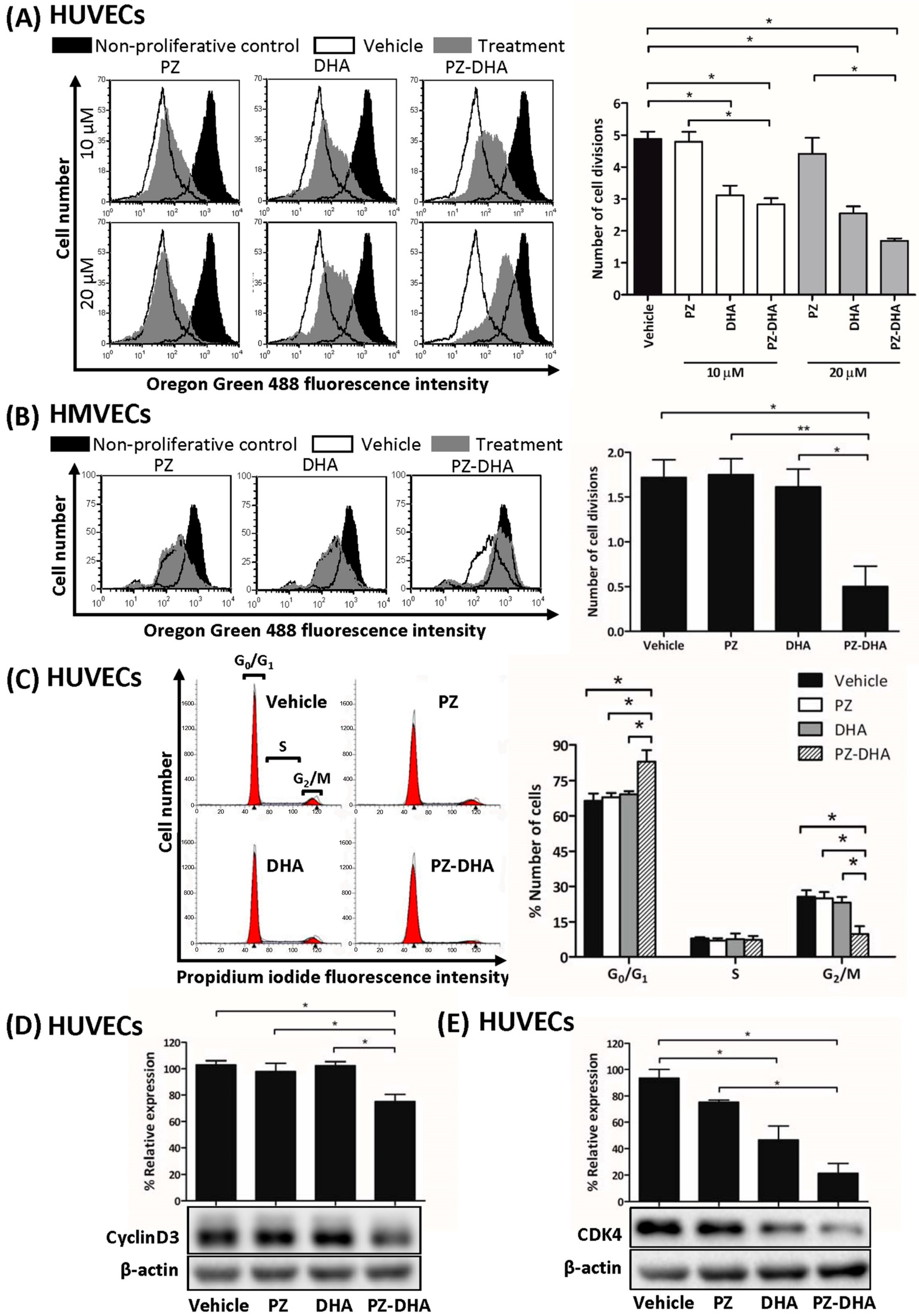 Biomolecules 14 00769 g003