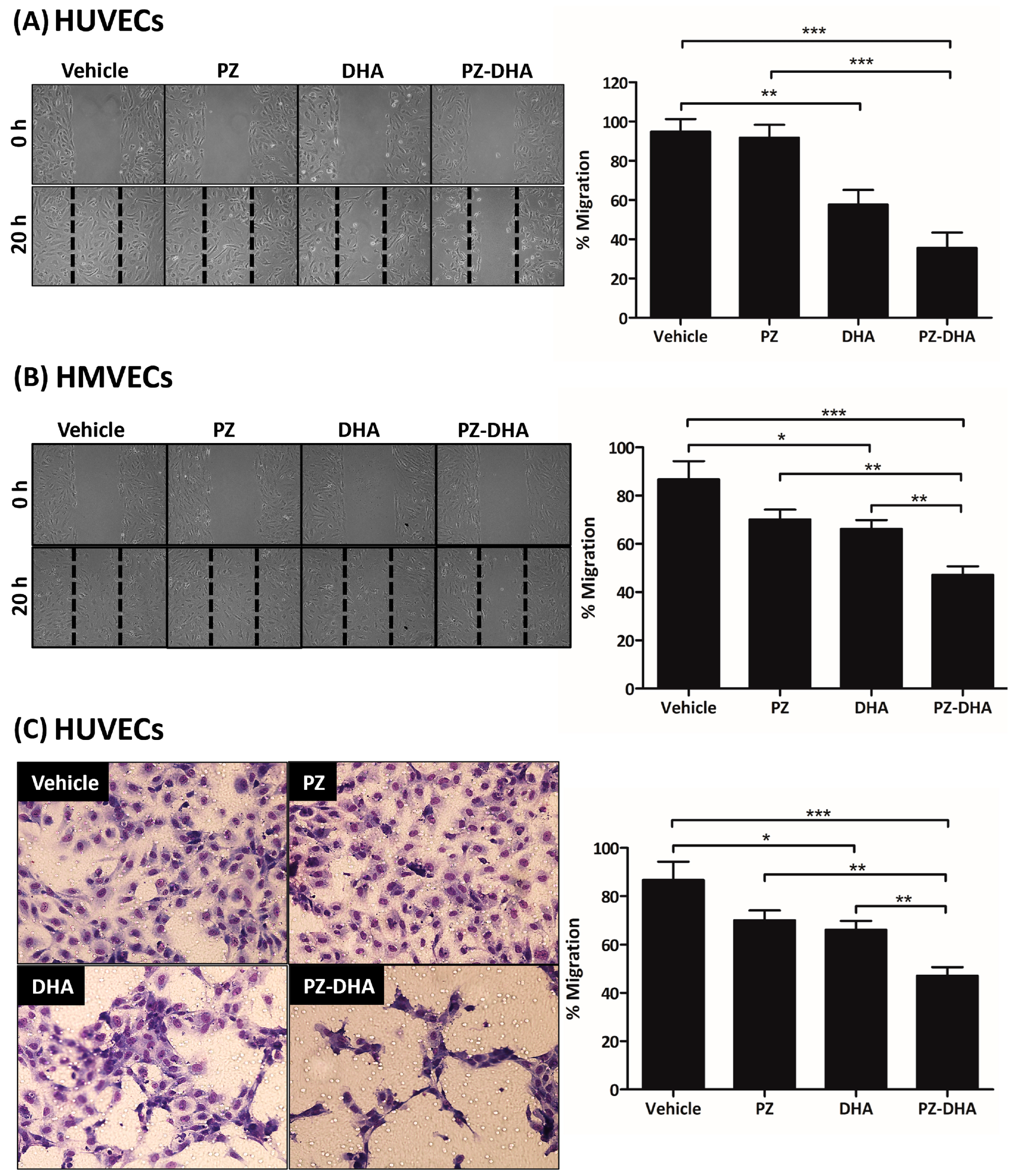 Biomolecules 14 00769 g004