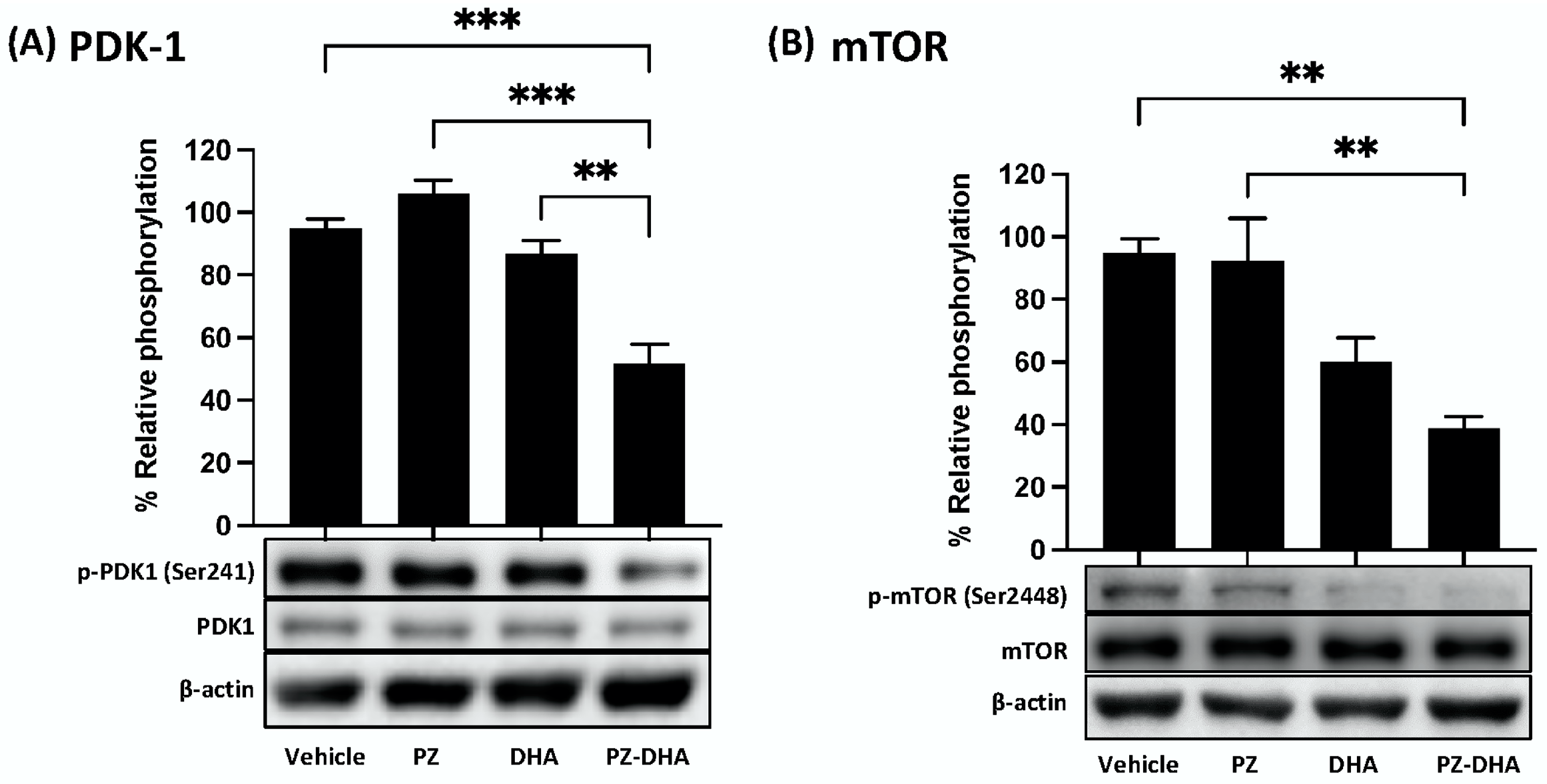 Biomolecules 14 00769 g005