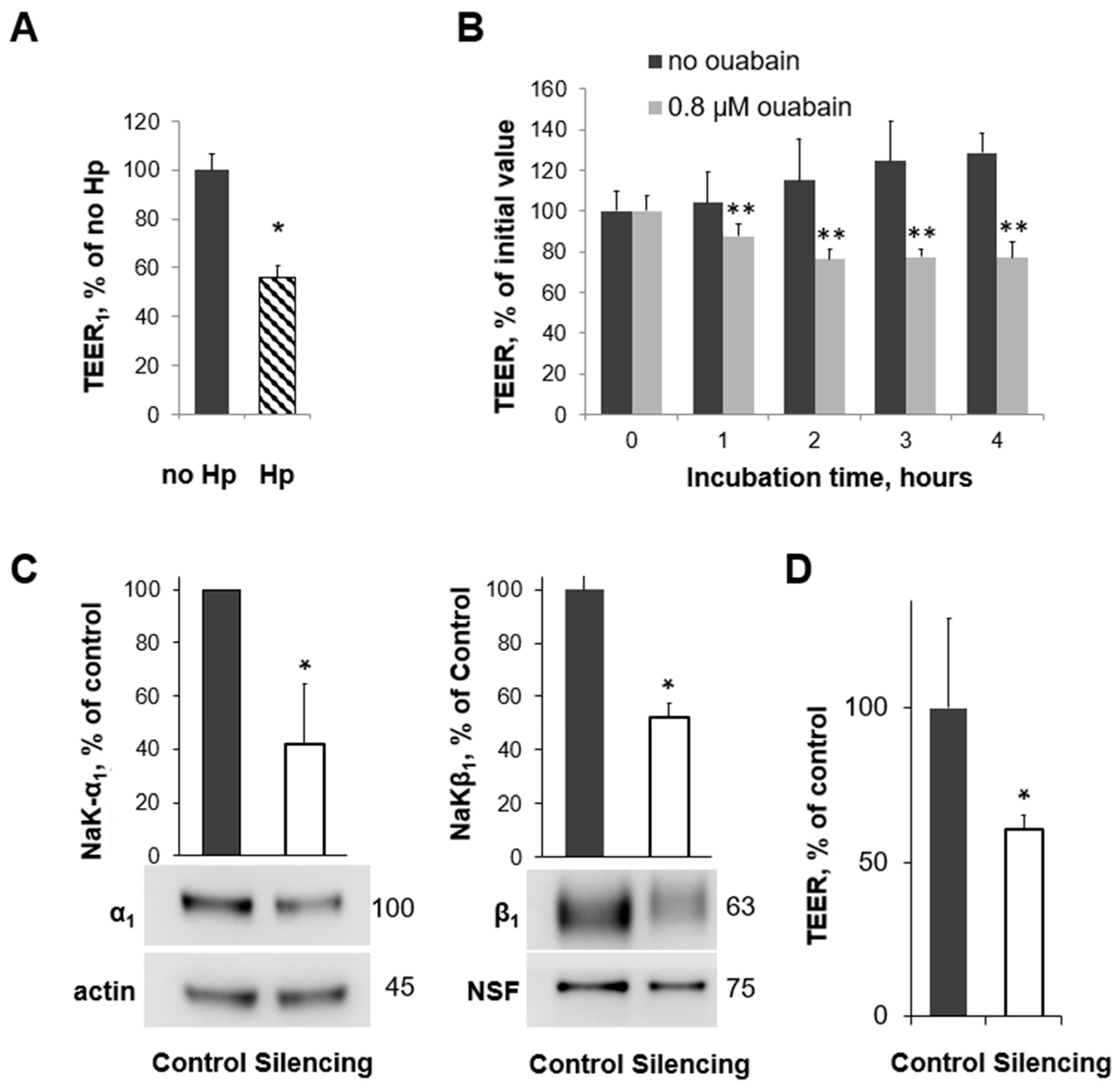 Biomolecules 14 00772 g003