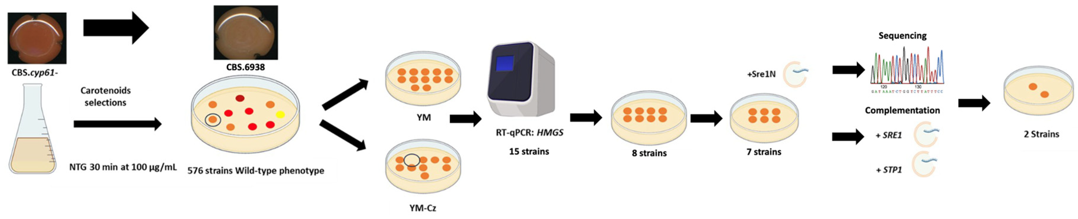 Biomolecules 14 00778 g002