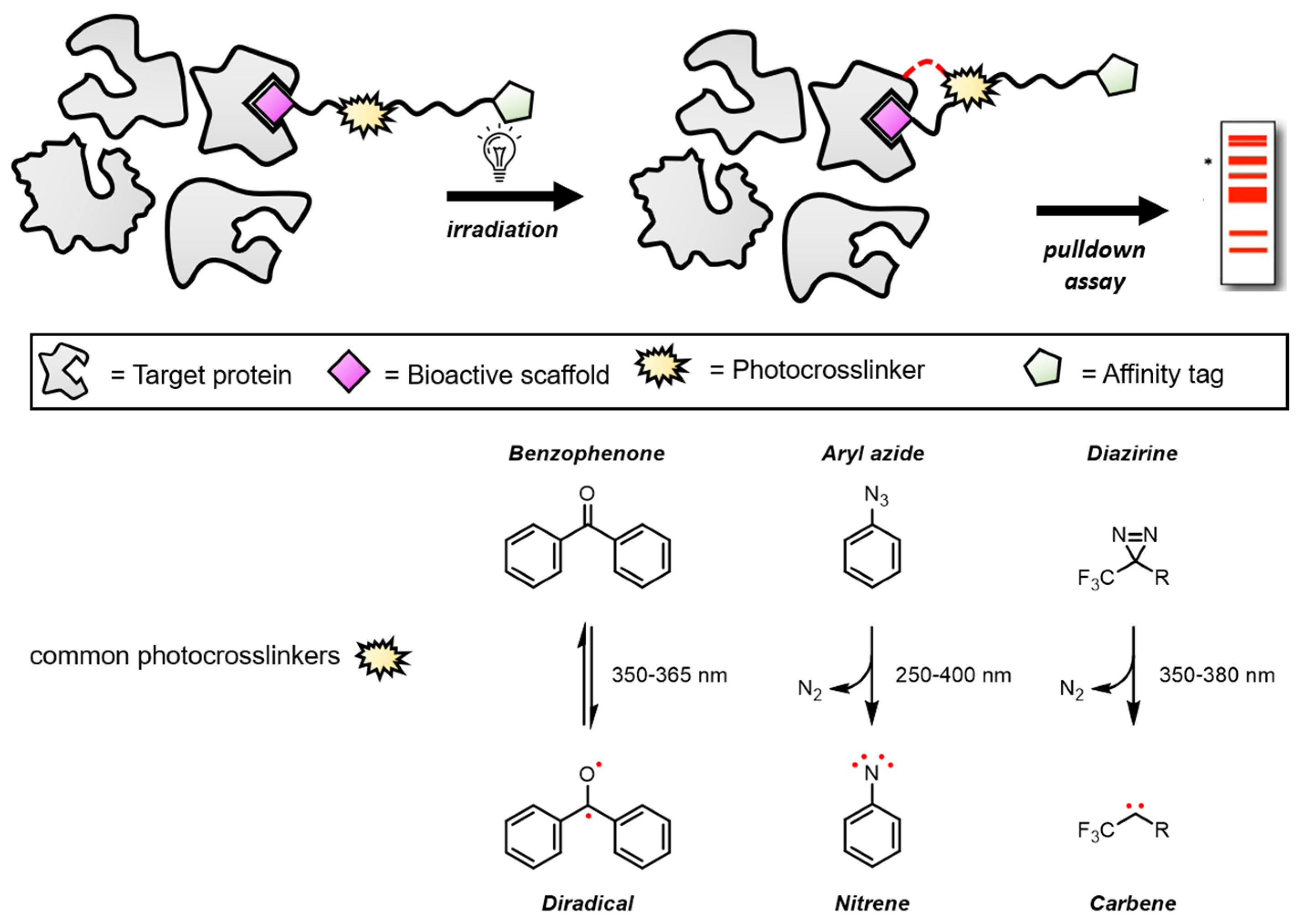 Biomolecules 14 00785 g002