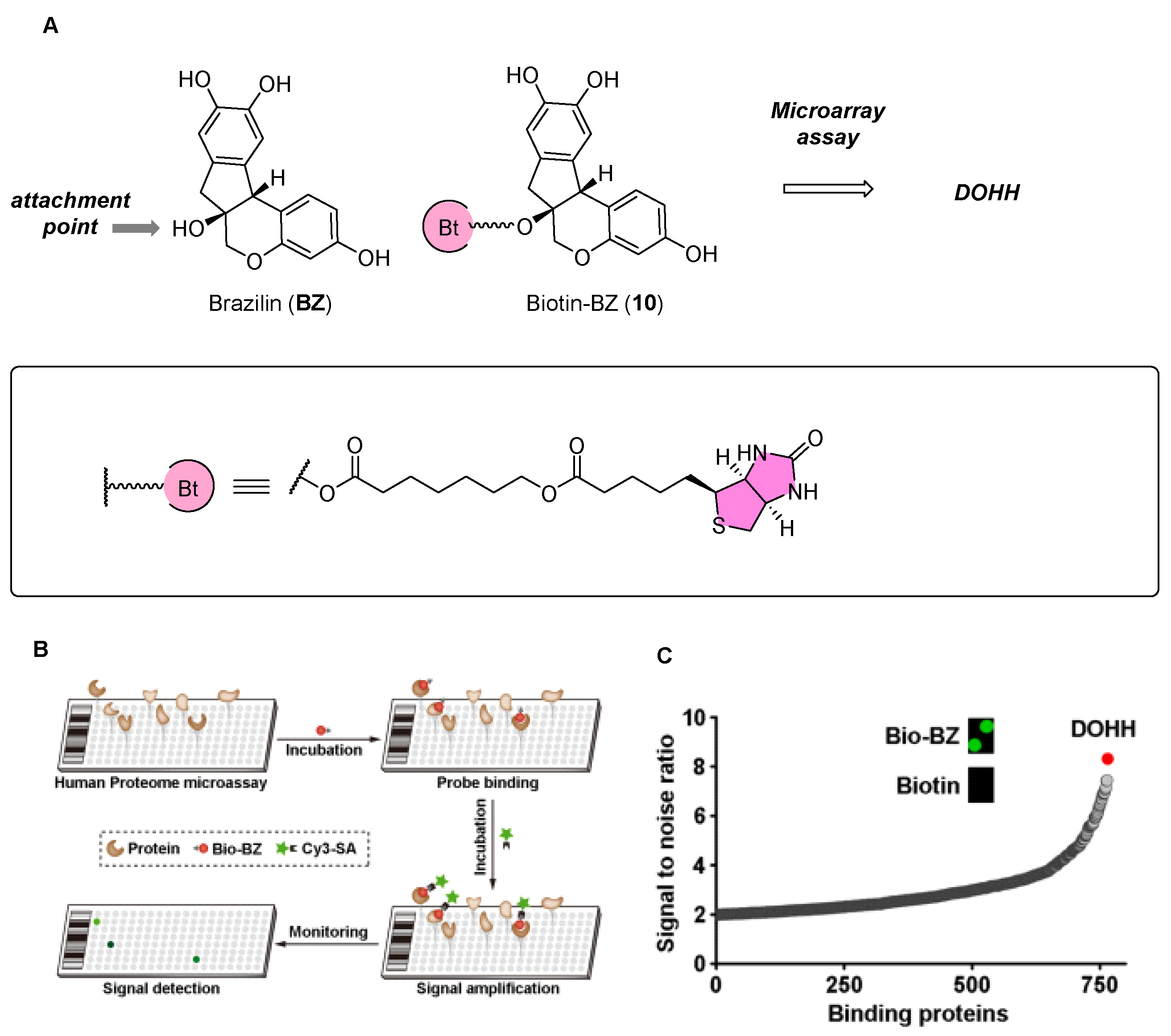 Biomolecules 14 00785 g011