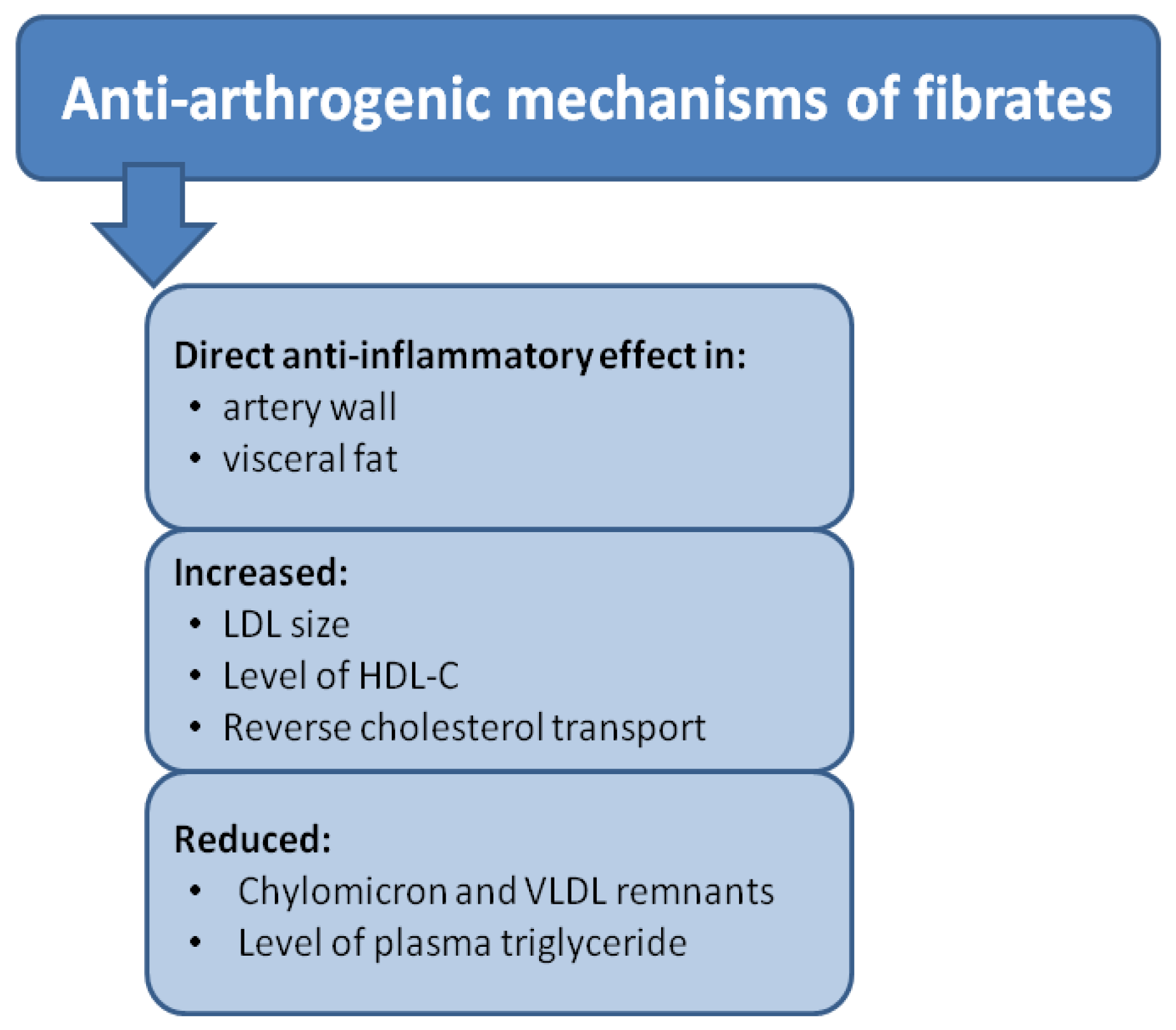 Biomolecules 14 00786 g004 Biomolecules 14 00786 g004