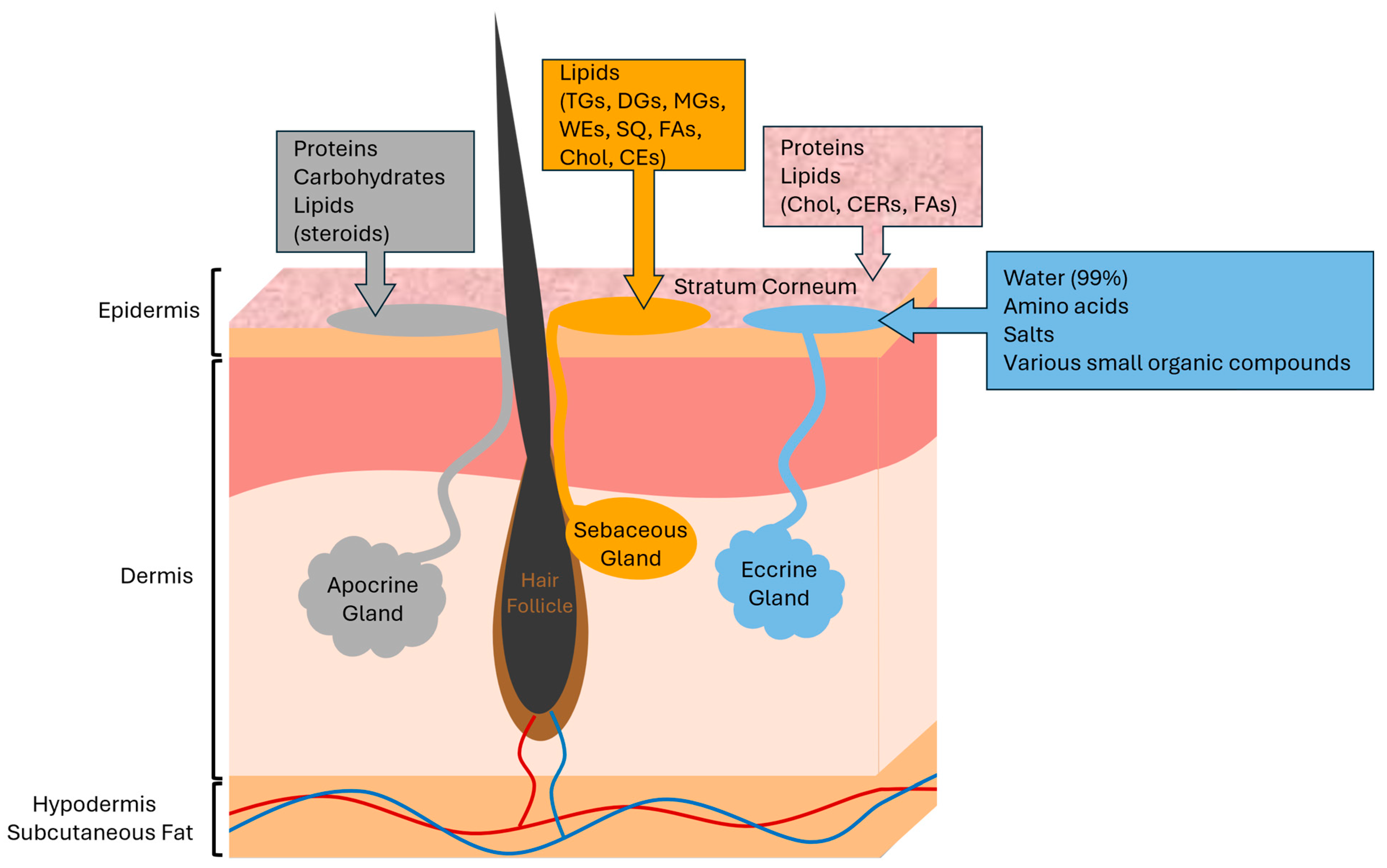 Biomolecules 14 00790 g001
