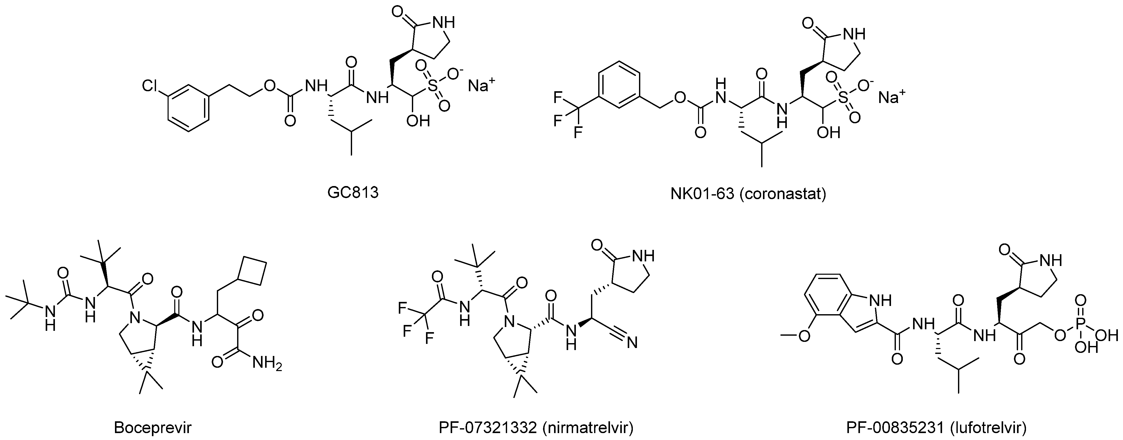 Biomolecules 14 00797 g010