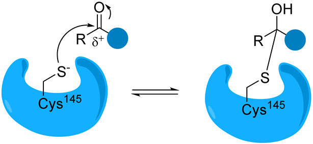 Biomolecules 14 00797 i002