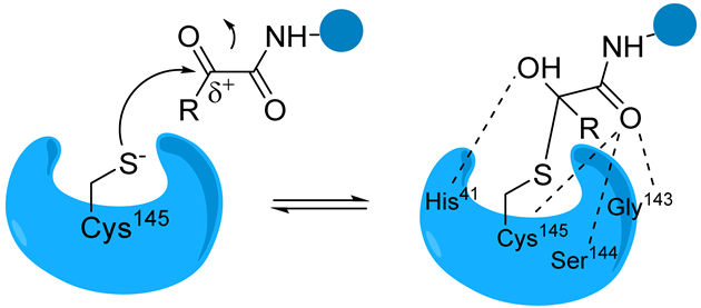 Biomolecules 14 00797 i004