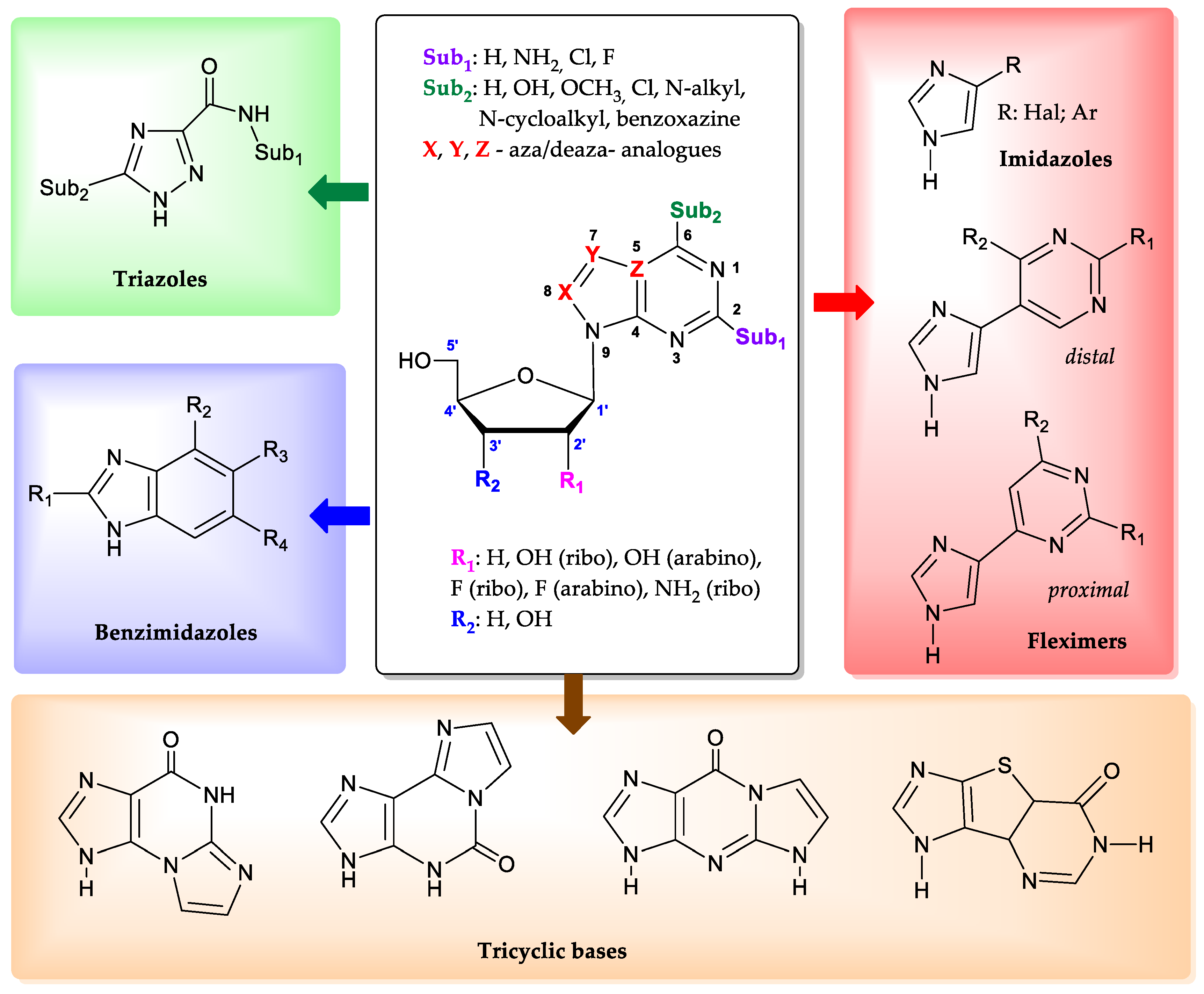 Biomolecules 14 00798 g001 Biomolecules 14 00798 g001