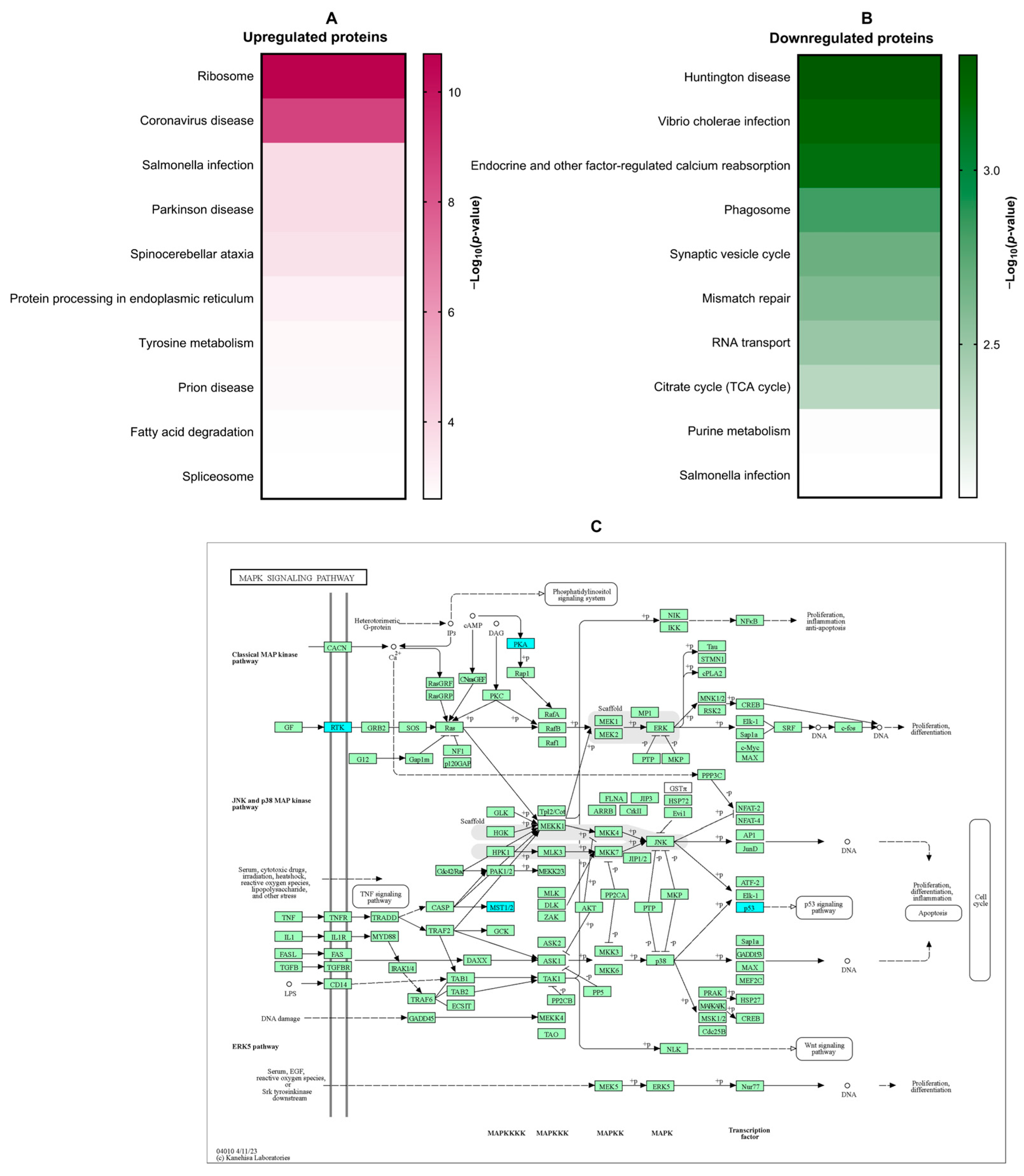 Biomolecules 14 00800 g004