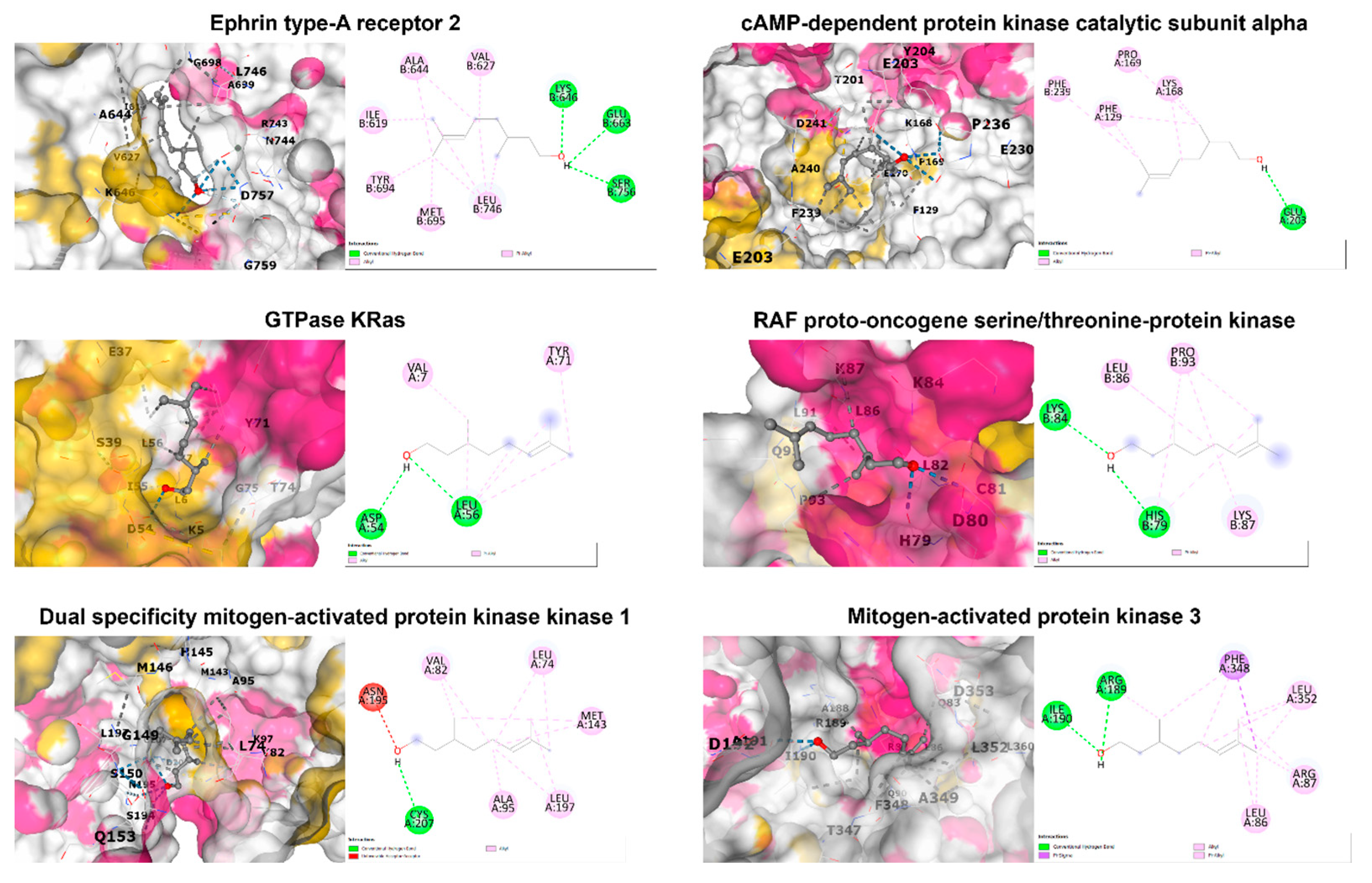 Biomolecules 14 00800 g005