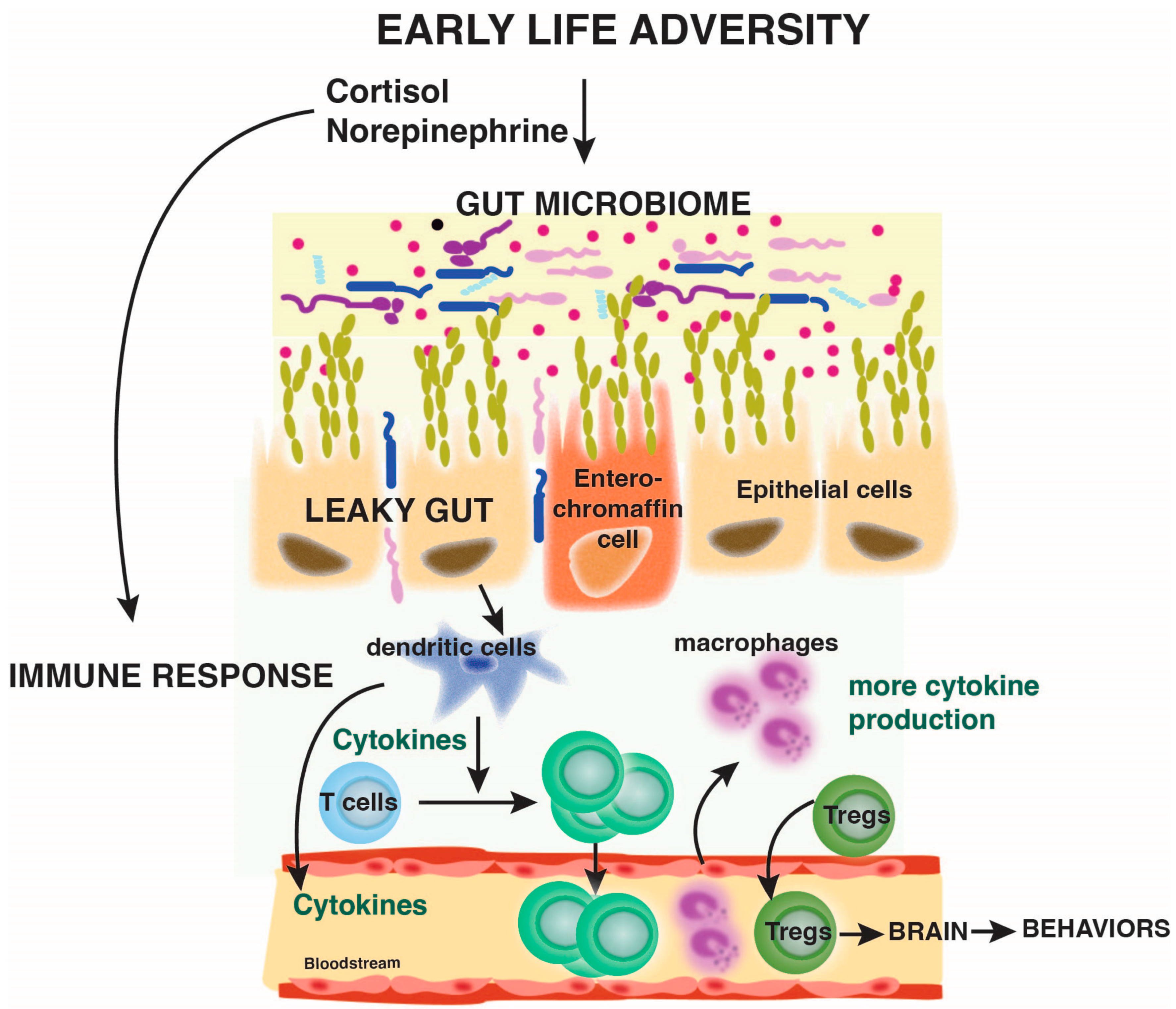 Biomolecules 14 00802 g001