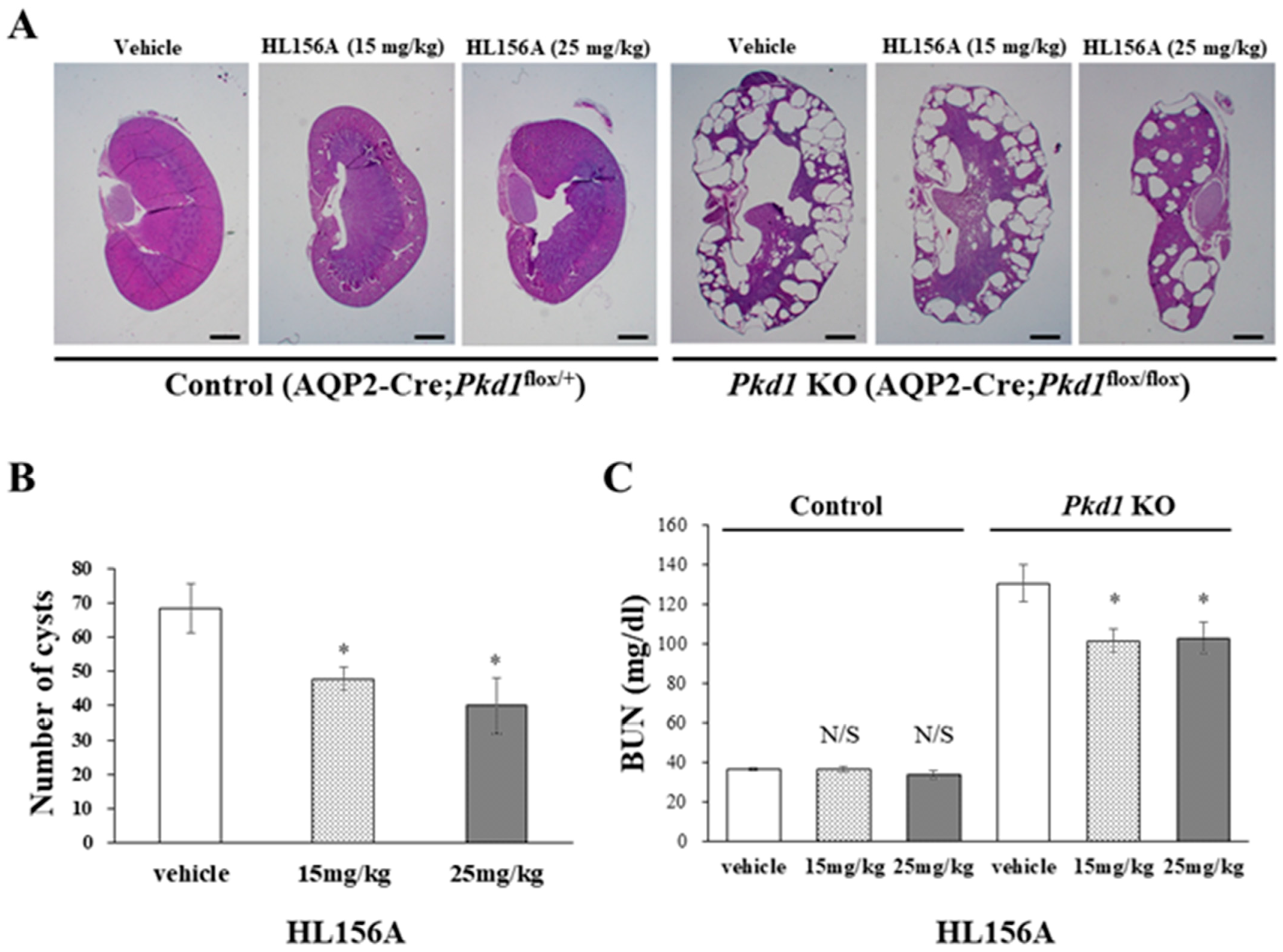 Biomolecules 14 00806 g004