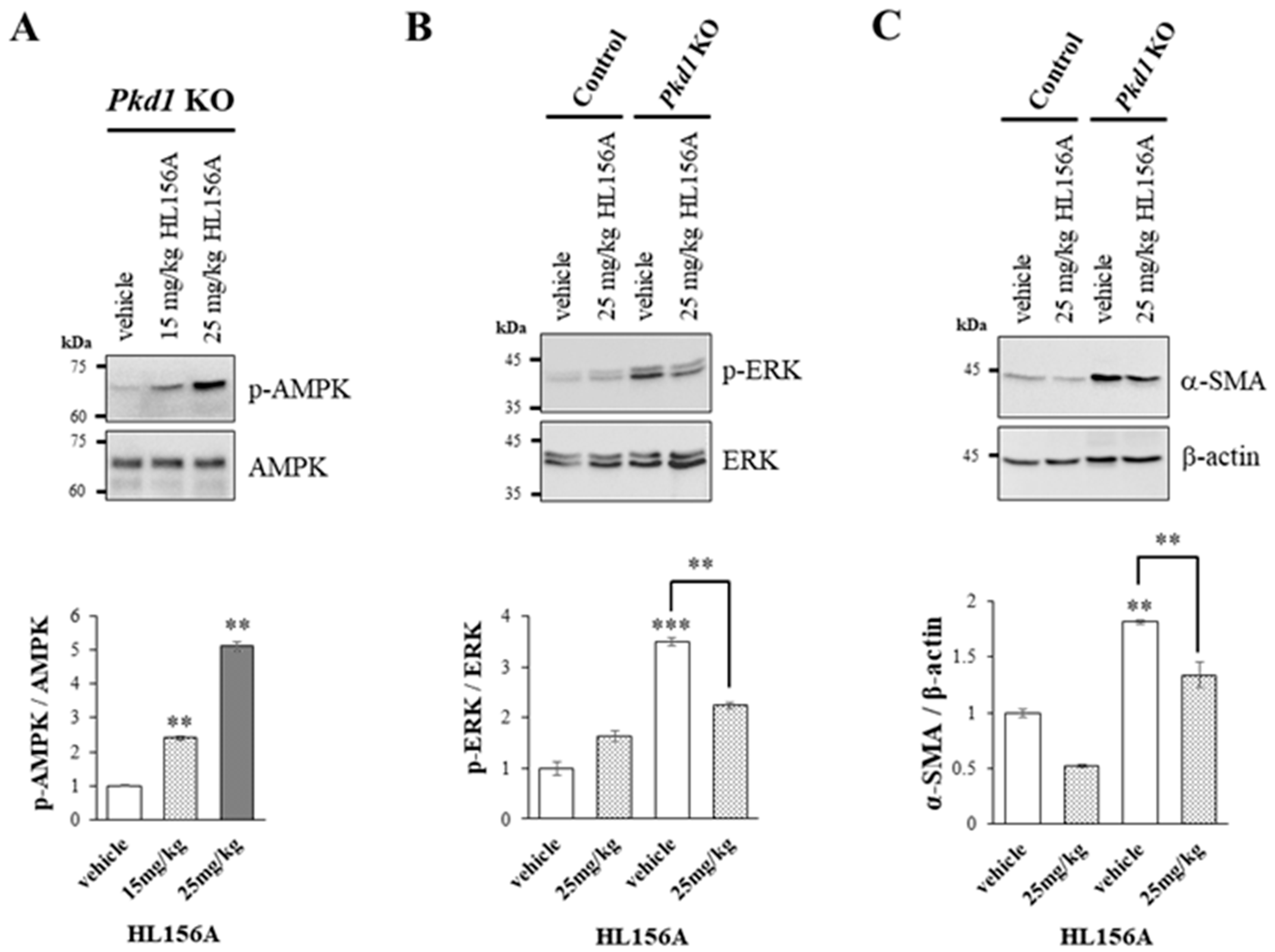 Biomolecules 14 00806 g005