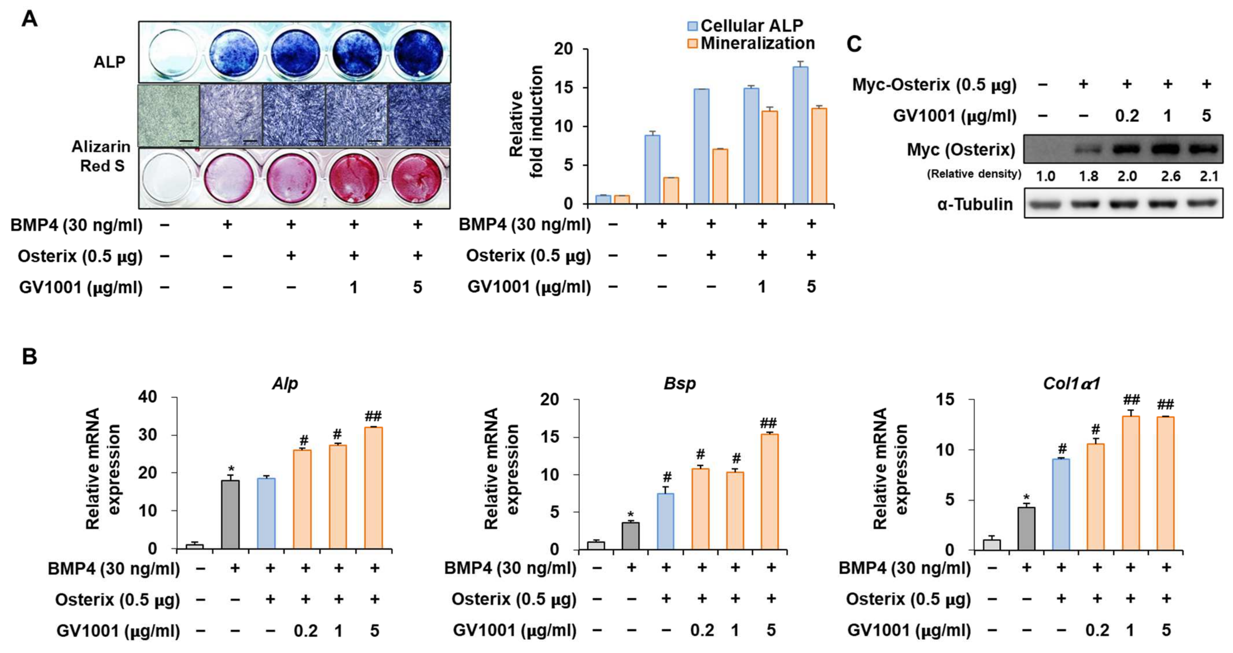 Biomolecules 14 00812 g006a