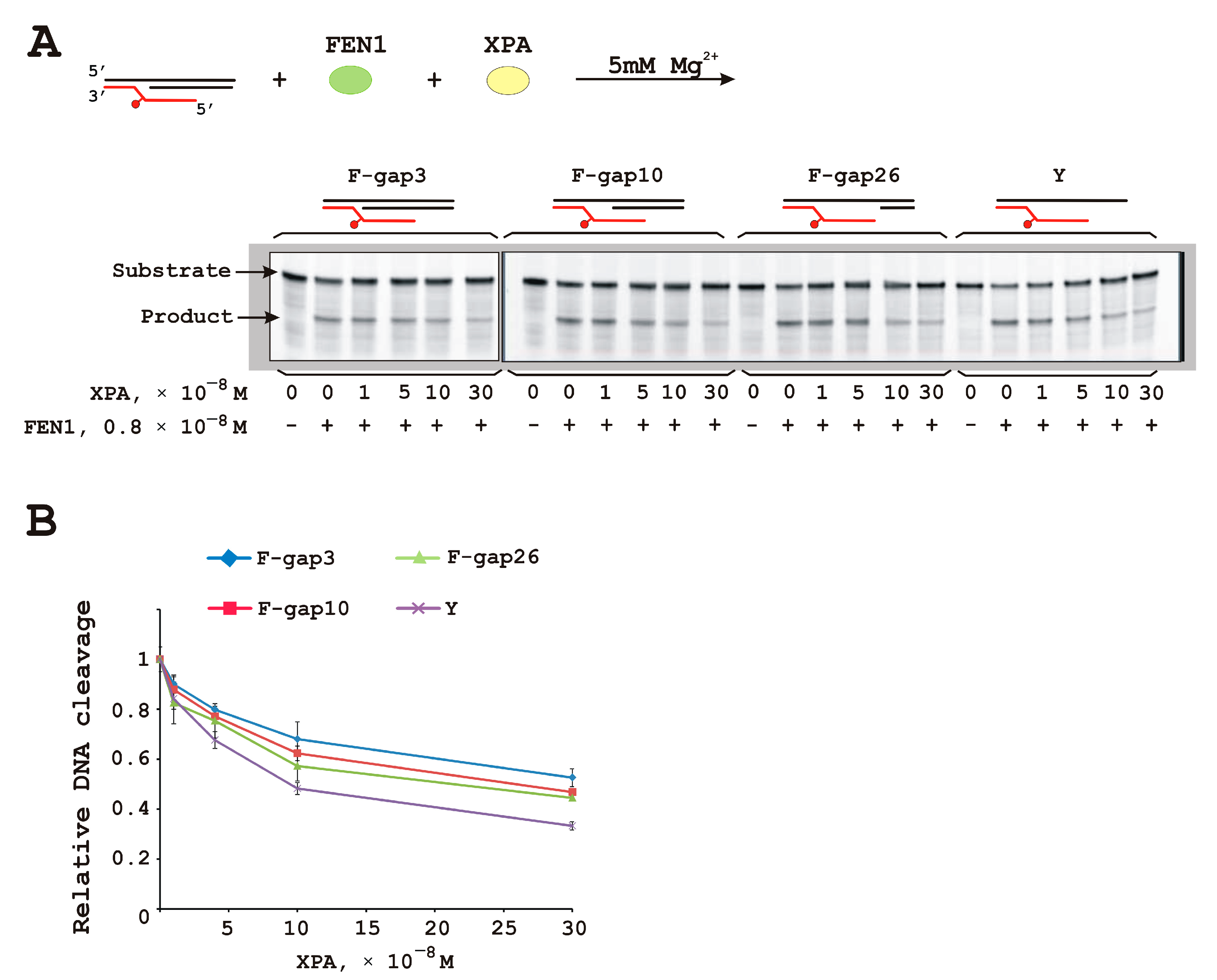 Biomolecules 14 00814 g004 Biomolecules 14 00814 g004