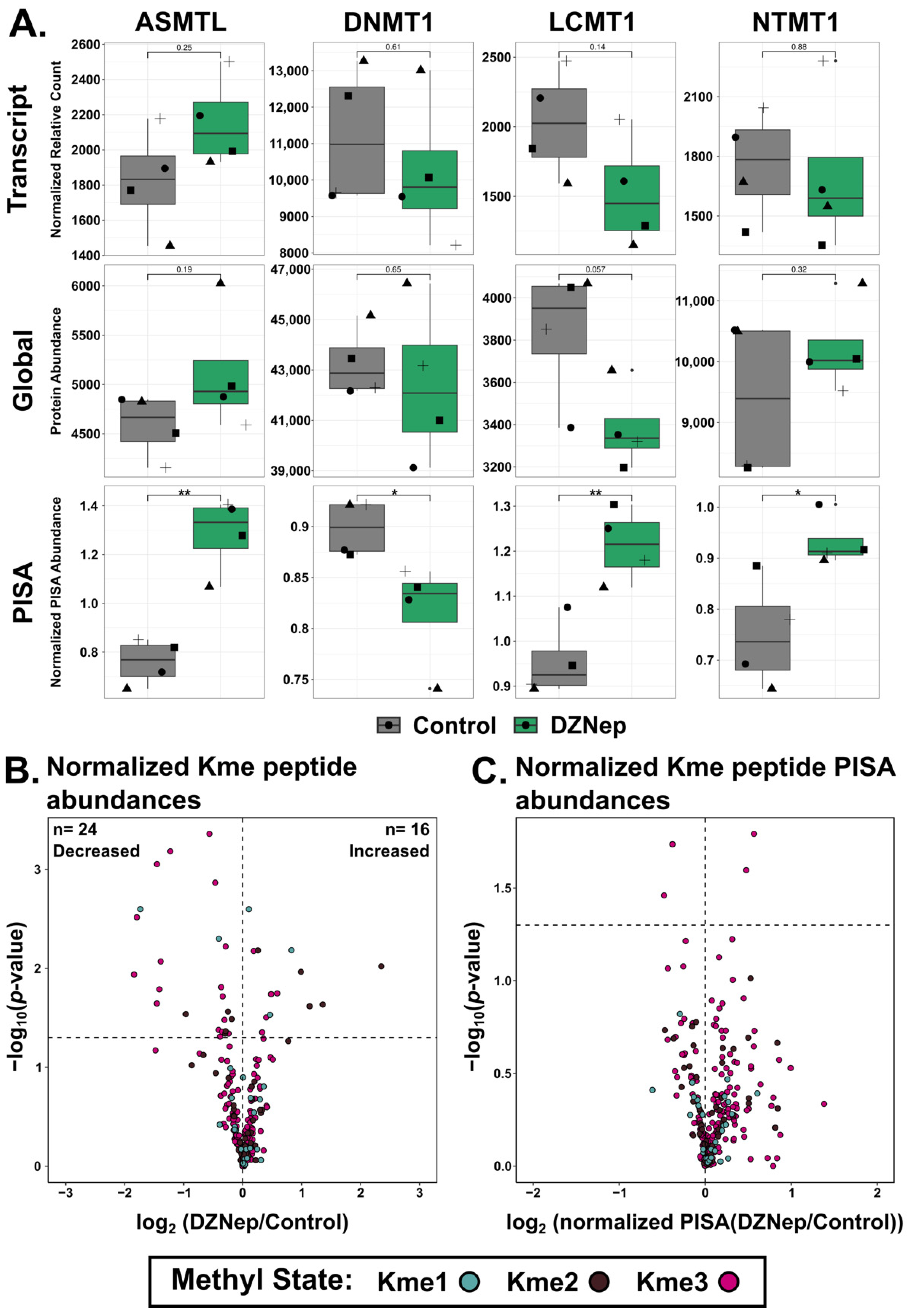 Biomolecules 14 00817 g005