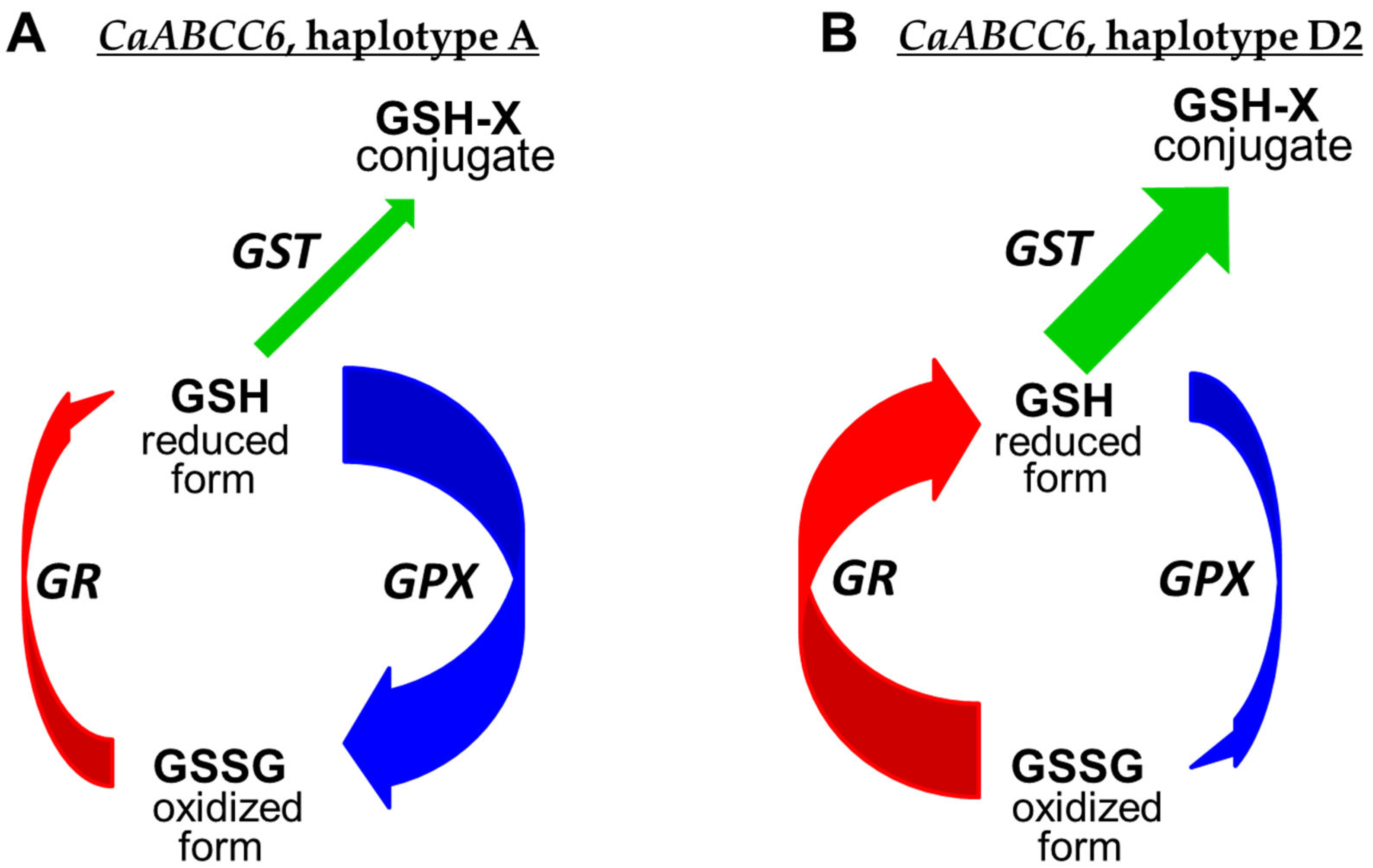 Biomolecules 14 00823 g007