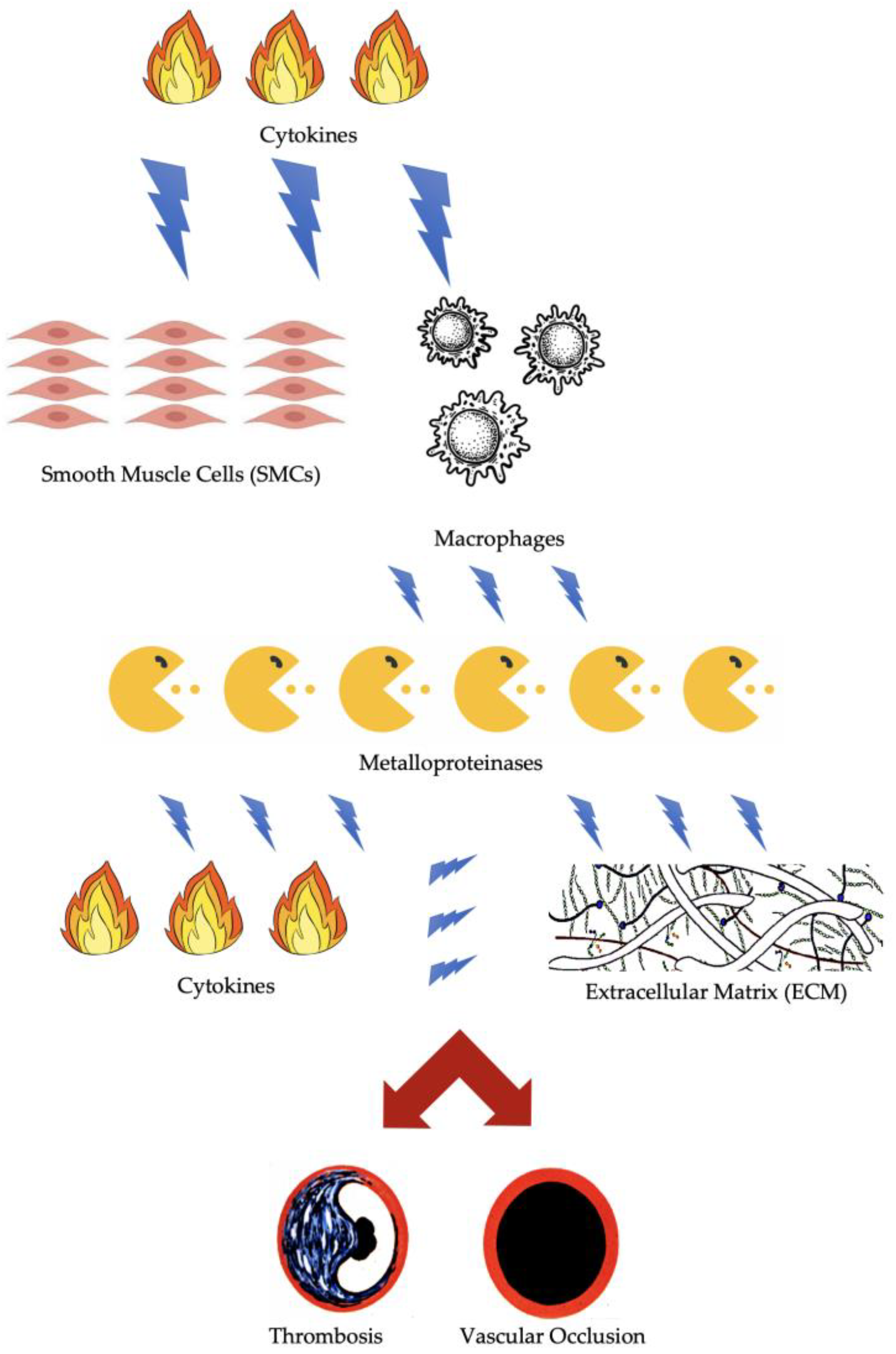 Biomolecules 14 00838 g001 Biomolecules 14 00838 g001