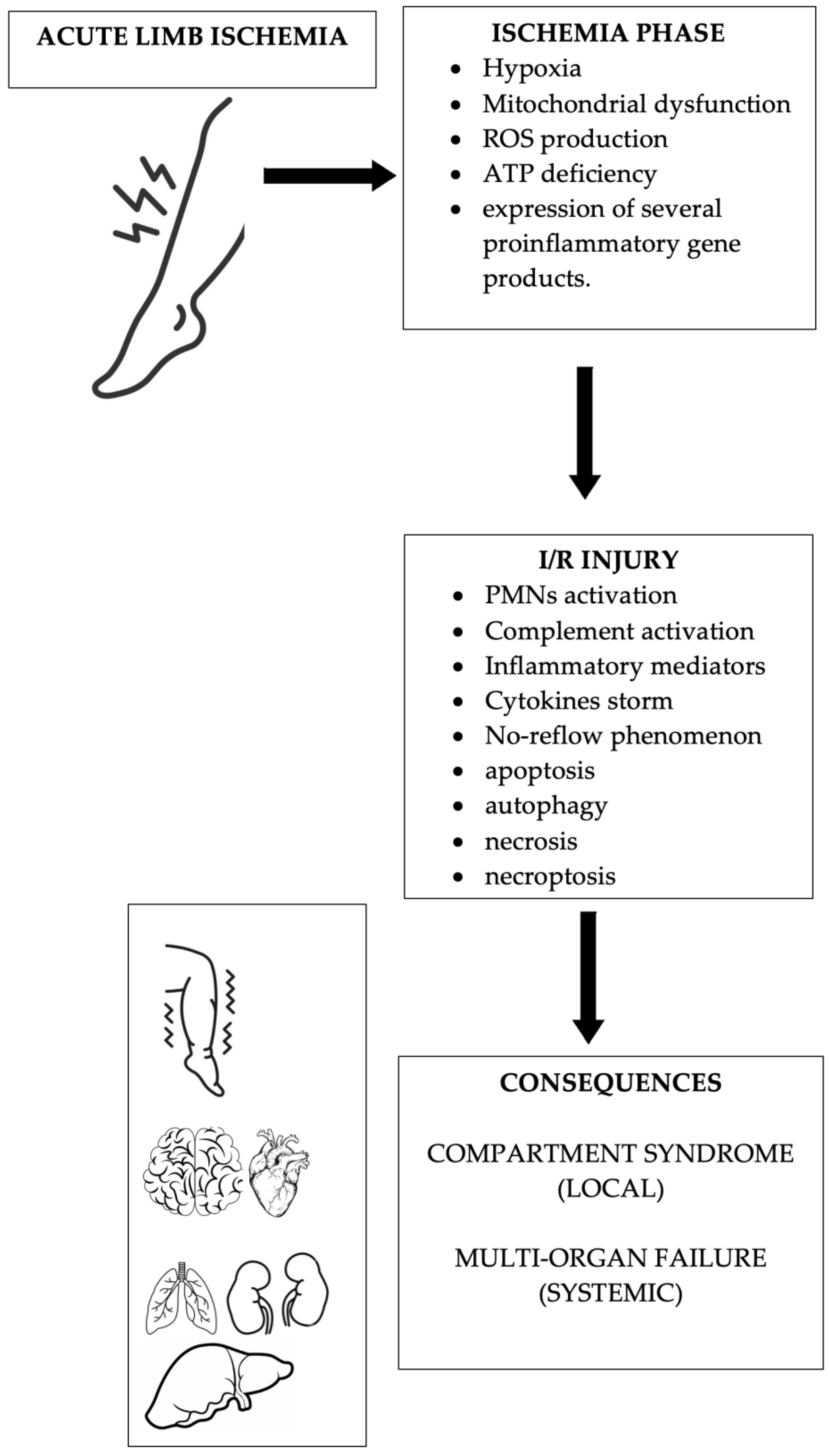 Biomolecules 14 00838 g002 Biomolecules 14 00838 g002